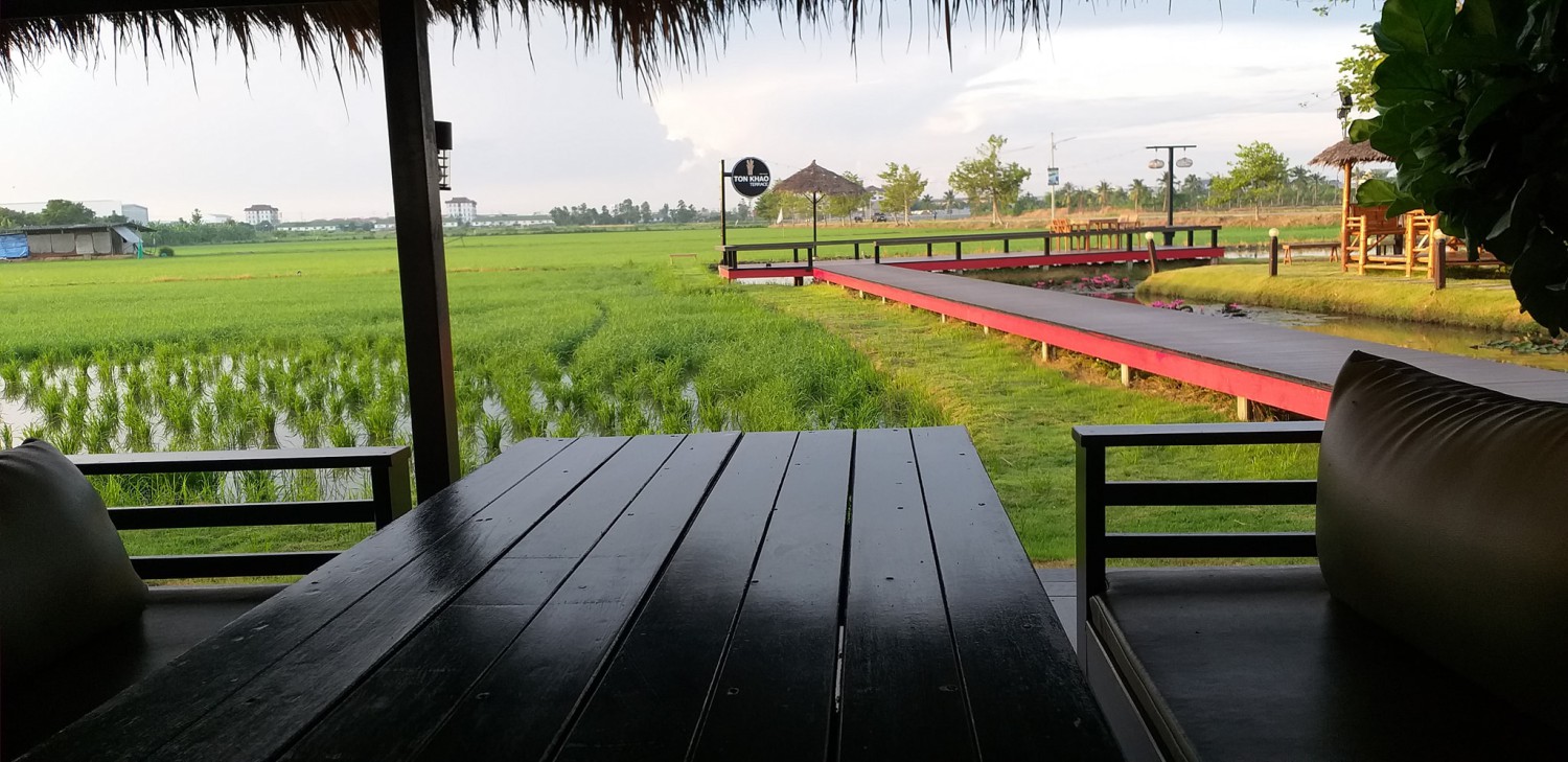 Autumn haus, YOJU Cafe, Lemon Me Farm, STARTCafé, Lot no.8 cafe, 23 cafe and bistro, STAY WITH TREE cafe, April Flavors cafe, Destiny cafe', บ้านปายนา, DUBUA CAFE, House of Chandra - เสน่ห์จันทน์ , 11 Elephant Dessert Cafe, Hangar Cafe', Merce Cafe & Restaurant, Ton Khao Terrace, O2 Kaffee & Bistro, Pomelo Cafe, Little tree, Chinu Coffee