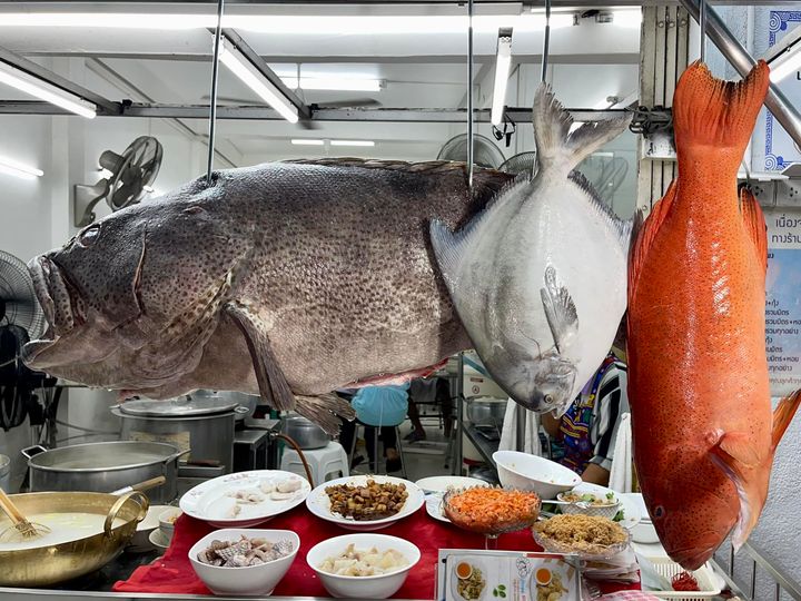 ข้าวต้มปลา (กิมโป้), ข้าวต้มปลา by อุษณีย์, ฟ้าปลาทาน, ข้าวต้มปลารสเด็ด