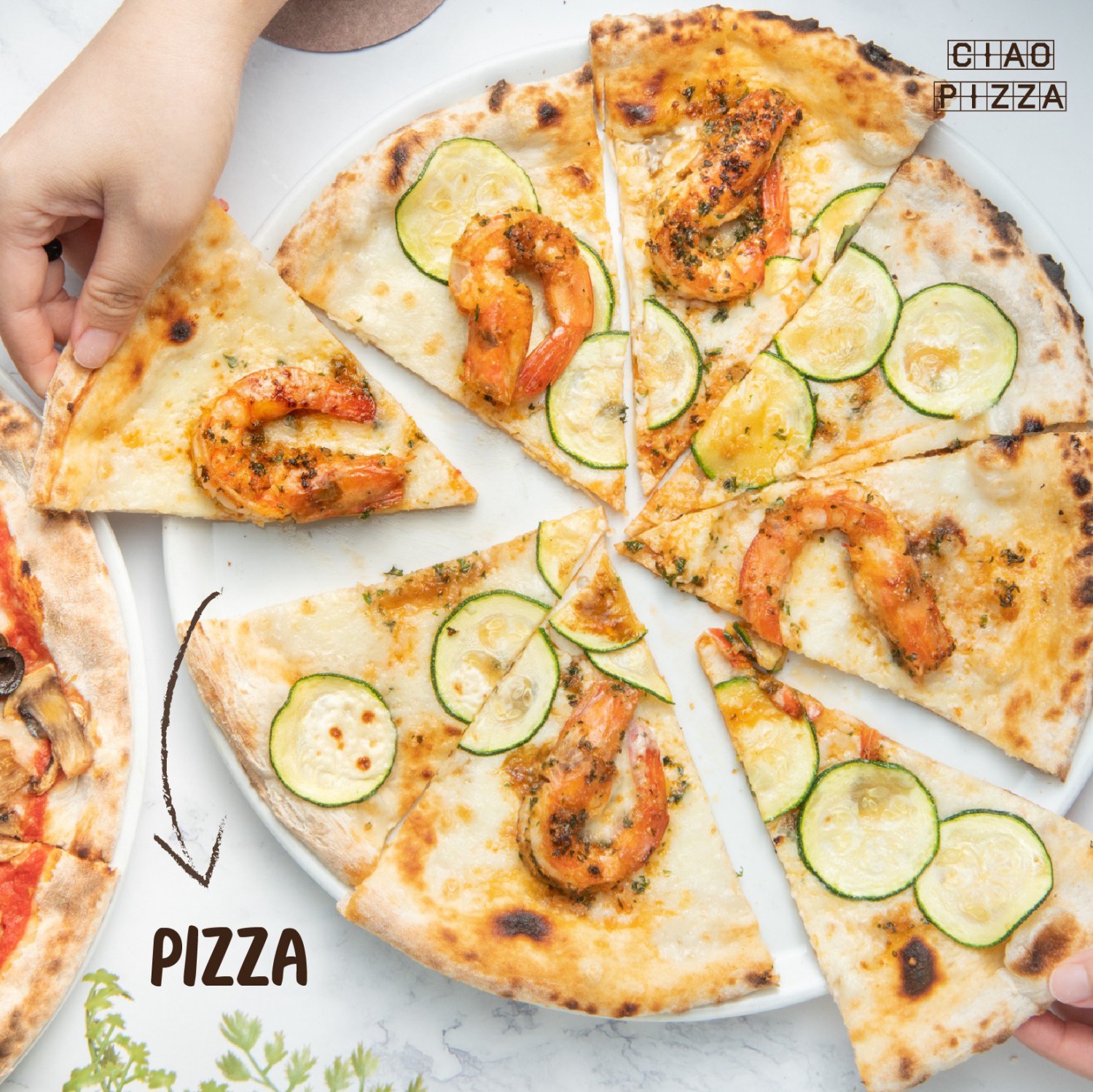 Pizzeria Limoncello, เชฟถนอม, กลมกล่อม BY CHEF AKE, Ciao Pizza, Pizza Aroy, Pizza Massilia, Grazie Pizzeria, The Garden Dough, Lanta Pizzeria, Mama Dolores, PizzaPazza, Dressage Horse Café, Pizzazo, Shelter Pizza พิซซ่าเตาถ่าน