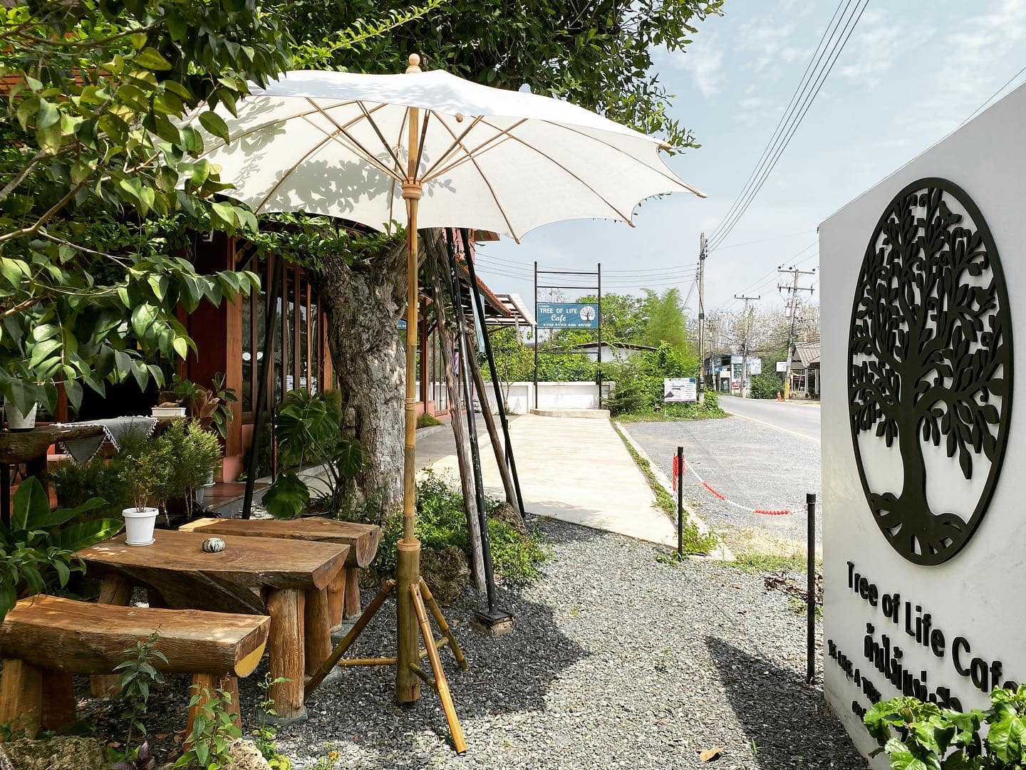 Treespresso cafe, Vigie Sist Café, Aki Choux Cream, Polaris Sunrise Café, MOJI Pool.Villa.icecream, MYTH OVEN, KonJohn coffee slowbar, Eleven Pillar Site, Home’S, Koffandthings.th, Playworks.cafeart, Tree of Life Cafe, Kramfeine, Millilit Cafe, TOMATO.cafe.cnx, MITTE MITTE, Soul Café mju, ZOHNG Coffee, ALSO cafe, Coffee Ngeggee, Graincafe.cnx, Later on cafe, สุขพอดี, FERN FOREST CAFÉ, Forest Bake, ภูฟิน, CHEEVIT CHEEVA, GoodVibes Cafe-Cnx, Chic 39, Zombie Café, Ristr8to, Neo Cafe', ชมนกชมไม้, เก้าคาเฟ่ นิมมาน