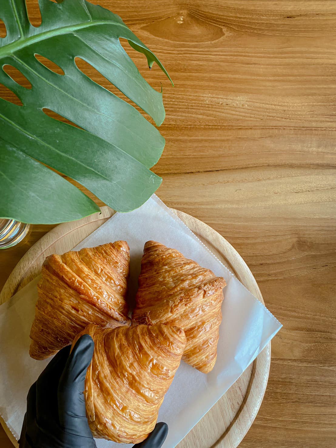 NAYA Cafe, Krasai.cafe, Sanoh at Ayutthaya, ชีวาคาเฟ่, FENG, Tewa Cafe Ayutthaya, Homeboy, PRANG VIEW, Peko Peko Cafe - ペ コ ペ コ, A Lovely Table, Busaba Cafe & Meal, WIWA House Cafe', The Summer House, Phoyard, Cafe' de Zia, Café Kantary Ayutthaya, บ้านข้าวหนม, Basic Space Coffee, Cafe'Trifecta, ในคลองคาเฟ่, ไม้ขาวคาเฟ่ ayutthaya, ชงนวล'Cafe