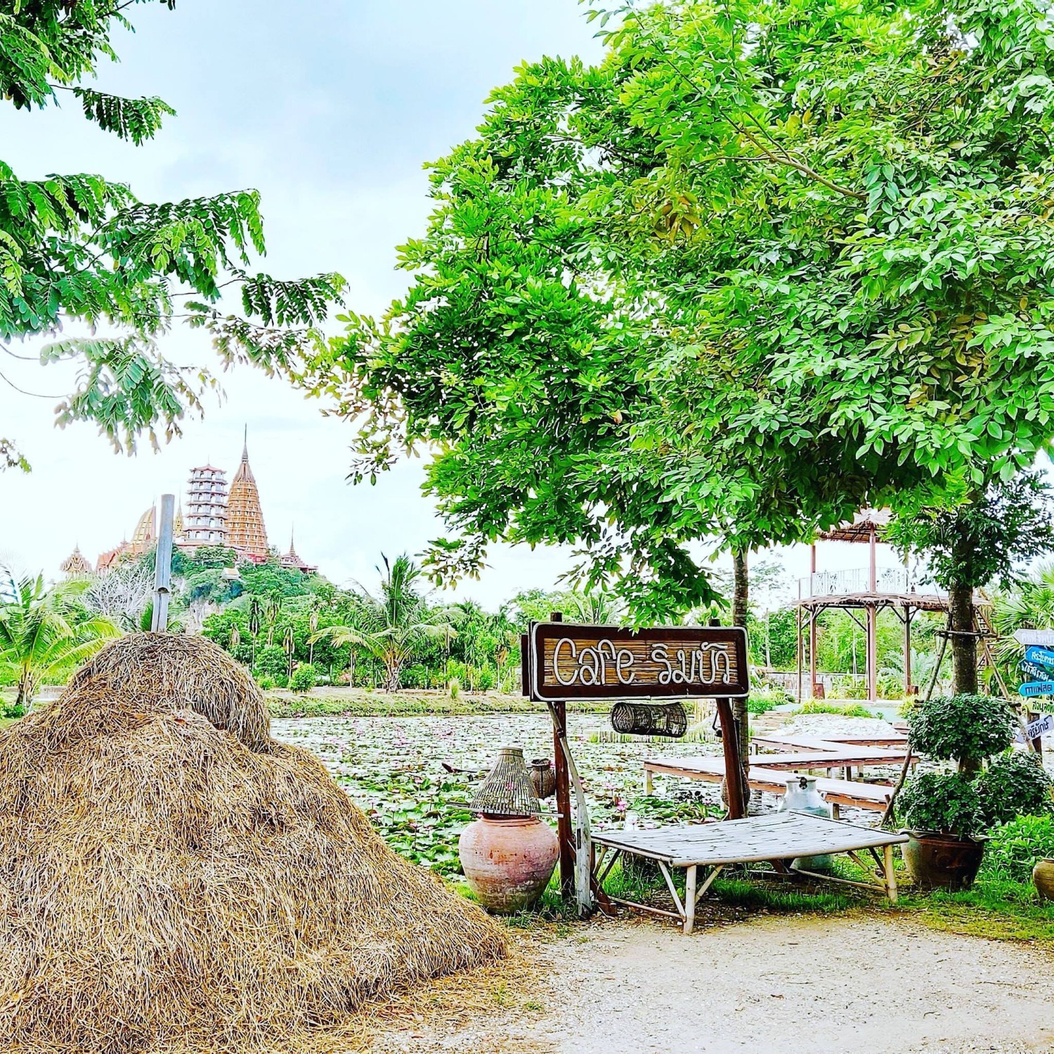 BOHO STORY CAFE, Z2 Cafe, Cafe ริมบัว กาญจนบุรี, DAY'S CAFE, RAVI RIVA CAFE, มีนา cafe', ลำยวน กาญจนบุรี