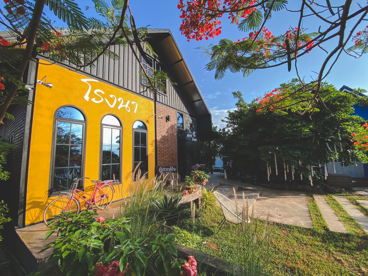 White House Forest, เกษม : KASEM Coffee, Rosie.nak, Luk Labb Coffee, Grande KAFE, KFD in Town, สวรรค์บ้านนา คาเฟ่ Food &amp; Drink, กอหญ้า คาเฟ่, ณ บุ่ง Coffee, polar polar CAFE', Yellow Pumpkin, ร้าน Yellow Pumpkin เปิดบริการตามปกติ 11.00-17.00 น. (ปิดวันพฤหัสบดี), I'm home cafe, ประจำอำเภอ, glinfon, 382 Space Café, La-Moon cafe'