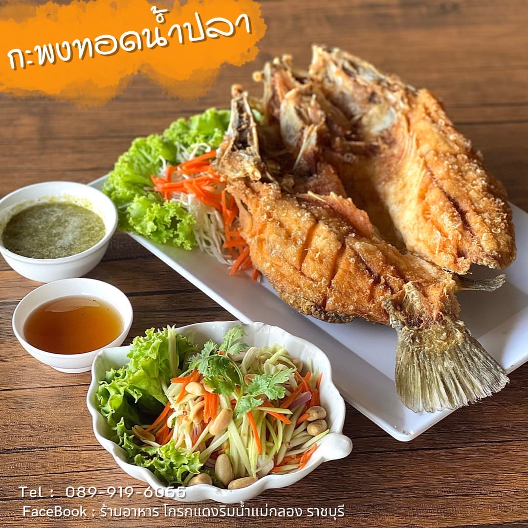 กอบัว, บ้านอาหารไทย, บ้านบัว, บ้านรั้วไม้ Cuisine & Cafe, ครัวหอมมันปู, ร้านไหน อุทยานหินเขางู ราชบุรี, สวนอาหาร รางตาล, Pakmud แซ่บหมูทะ, สาขาโพธาราม, ถึงพริกถึงขิง, มะม่วงคู่, เนื้อต้มบ้านสิงห์ เจ๊ติ๋ม, โกรกแดง, ชุมทางของอร่อย, Mainichi365, Octospider restaurant, Lim cafe Photaram, ครัวตะนาวศรี สวนผึ้ง ราชบุรี, อาตี๋โกปี๊, โอปอชิฟฟ่อนเค้ก, ก๋วยเตี๋ยวปลาแม่กลอง, ติ๋มเค้กมะพร้าวอ่อน, ก๋วยเตี๋ยวโบราณป้าฮวย, โอ่งข้าวโอ่งน้ำ, ครัวม่อนไข่ สวนผึ้ง ราชบุรี, ShabuDo