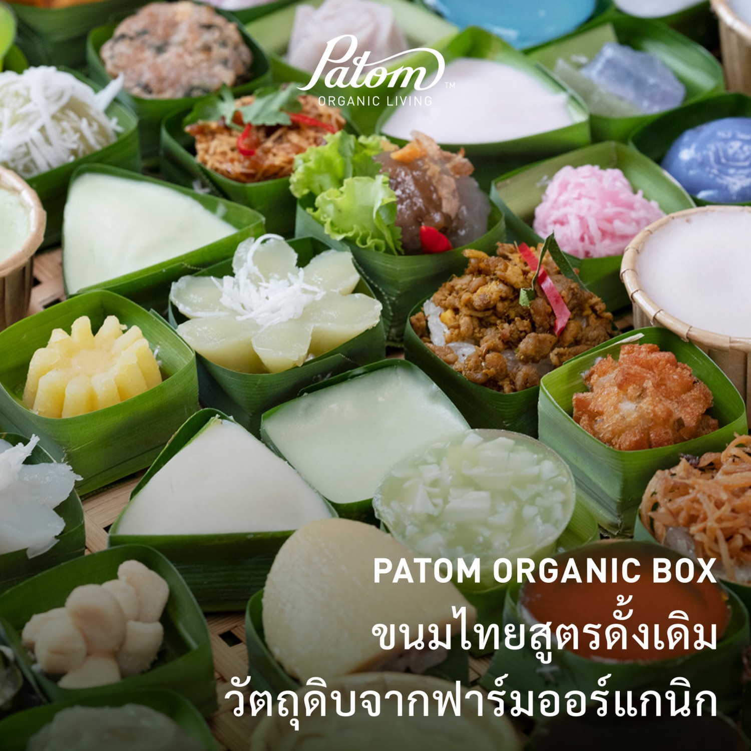 บ้านสวย ในสวน, Siam Brasserie , The Treehouse Nongchok, Natura Cafe, BaanNaiSuan Cafe&Yoga, Patom, Portobello & Désiré, ครัวบ้านสวนสุวรรณ, ร้านอาหารฐิตารีย์ สวนรถไฟ จตุจักร, บ้านสวน อบอวลรัก