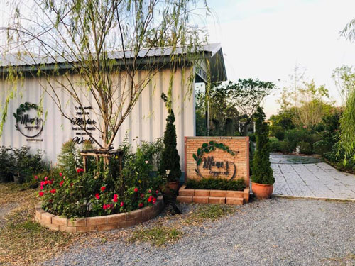 Hansacafe.food.garden, Green House Bistro, BECX, Plantnery Green Café, Langbaan cafe&amp;chill, ฉลู คาเฟ่, Mom’s Veggie Cafe, Another Home Cafe, Me Long Cafe, ร.เรือตัวอ้วน, Slot Co-Working Space, Mitte Coffee, Mita Coffee and Art, Bluebell Café, 10cc Coffee