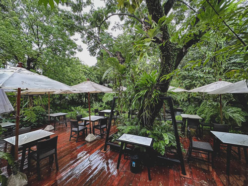 Hansacafe.food.garden, Green House Bistro, BECX, Plantnery Green Café, Langbaan cafe&amp;chill, ฉลู คาเฟ่, Mom’s Veggie Cafe, Another Home Cafe, Me Long Cafe, ร.เรือตัวอ้วน, Slot Co-Working Space, Mitte Coffee, Mita Coffee and Art, Bluebell Café, 10cc Coffee