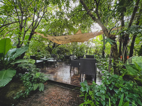 Hansacafe.food.garden, Green House Bistro, BECX, Plantnery Green Café, Langbaan cafe&amp;chill, ฉลู คาเฟ่, Mom’s Veggie Cafe, Another Home Cafe, Me Long Cafe, ร.เรือตัวอ้วน, Slot Co-Working Space, Mitte Coffee, Mita Coffee and Art, Bluebell Café, 10cc Coffee