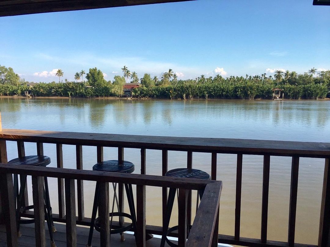 Unplan, ma na cafe', ปลาชุม : Plachum Café & Bistro, Nava House Café - นาวา เฮ้าส์ คาเฟ่, Coffee 123, FarmVille Chachoengsao, บ้านพระจันทร์เวียน, กรีนวิลล์ ผักสลัดเสิร์ฟจากฟาร์ม , D•presso cafe, Baan Melon Desert, Red Cat Cafe ตลาดบ้านใหม่, Lifehouse Cafe & Kitchen, T13 Café