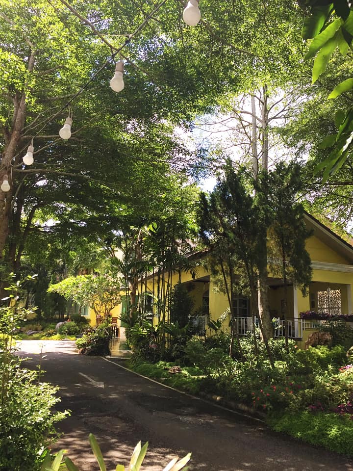 สะหวา, กลมกล่อม, ดอนญ่า, ต้นทาง, ครัวมะเรือง, ร้านข้าวต้ม 2500, เนินขุมทองการ์เด้นท์, นานหยวนบะหมี่เกี๊ยวกุ้ง, สาขากองบิน 56, ไก่ทอดเดชา, สาขาสนามบินหาดใหญ่, สบันงา, เหม่ยเหว่ย สาขาถนนสนามบิน, ร้านข้าวต้มมัดเนินขุมทอง คาเฟ่อาหารใต้