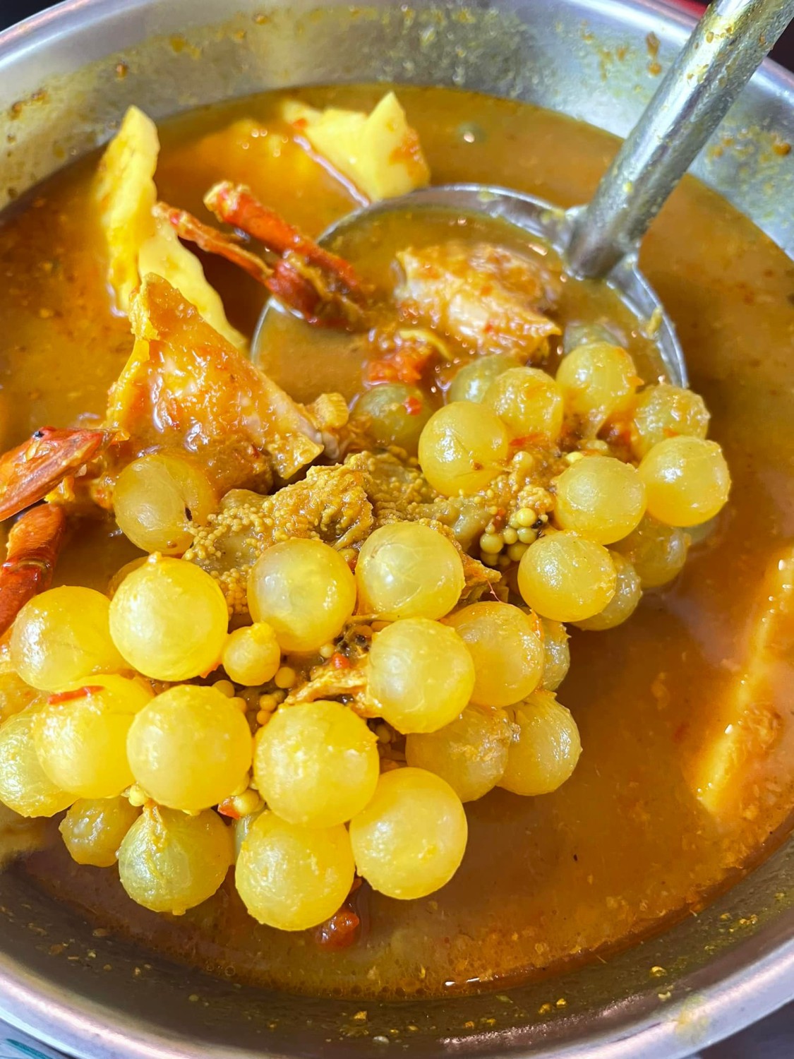 สะหวา, กลมกล่อม, ดอนญ่า, ต้นทาง, ครัวมะเรือง, ร้านข้าวต้ม 2500, เนินขุมทองการ์เด้นท์, นานหยวนบะหมี่เกี๊ยวกุ้ง, สาขากองบิน 56, ไก่ทอดเดชา, สาขาสนามบินหาดใหญ่, สบันงา, เหม่ยเหว่ย สาขาถนนสนามบิน, ร้านข้าวต้มมัดเนินขุมทอง คาเฟ่อาหารใต้