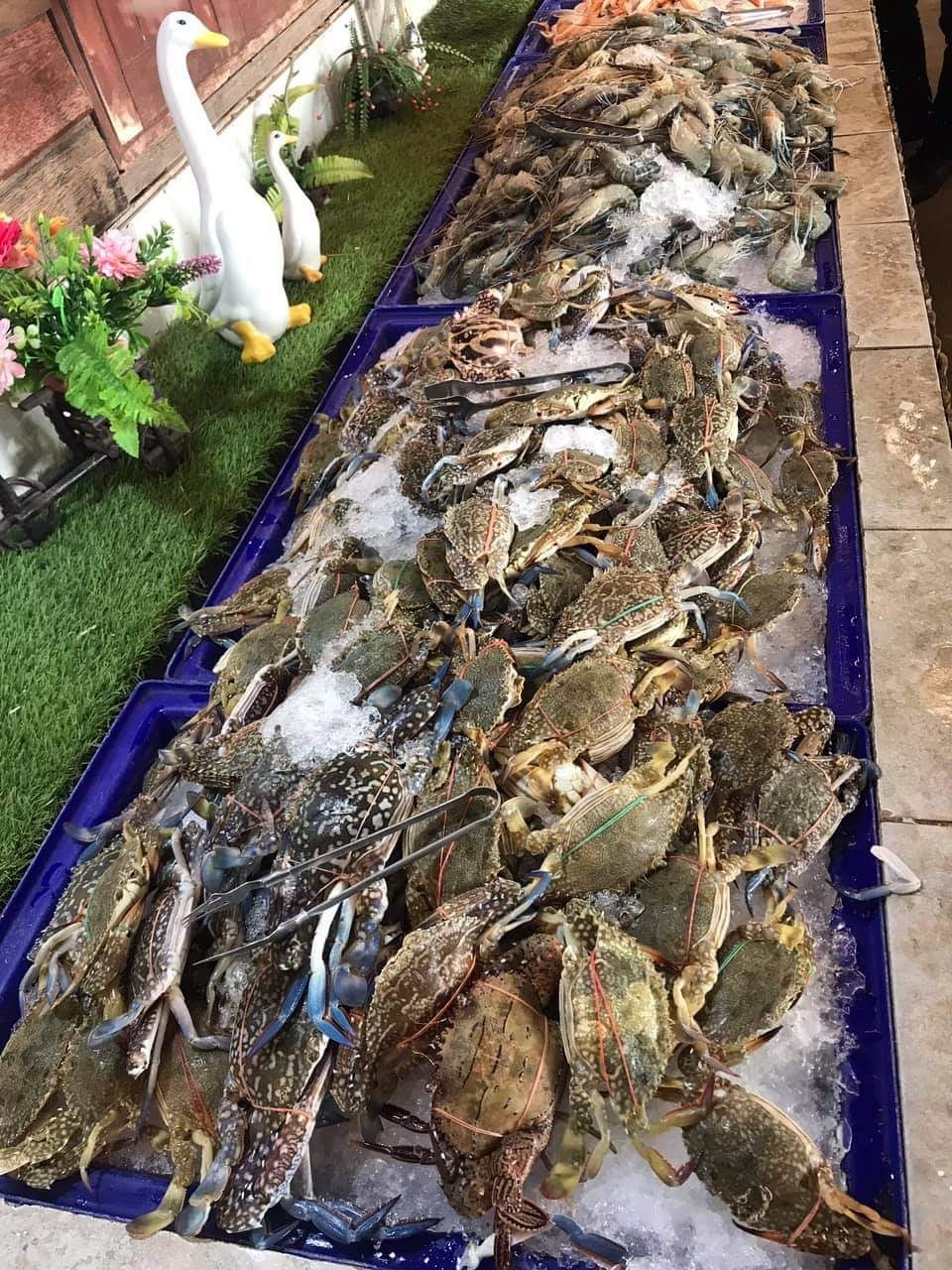ปูเป็น SEAFOOD PATTAYA, ริมหาด ซีฟู๊ด, ลุงบอยป้ารัตน์, สาขาหาดจอมเทียน, Krua Dongtan ครัวดงตาล, ลุงไสว 1 สุดหาดจอมเทียน พัทยา, ศรีนวลซีฟู้ด, Anantaya Resort &amp; Seafood Pattaya, สุดเขต ทะเลเผา