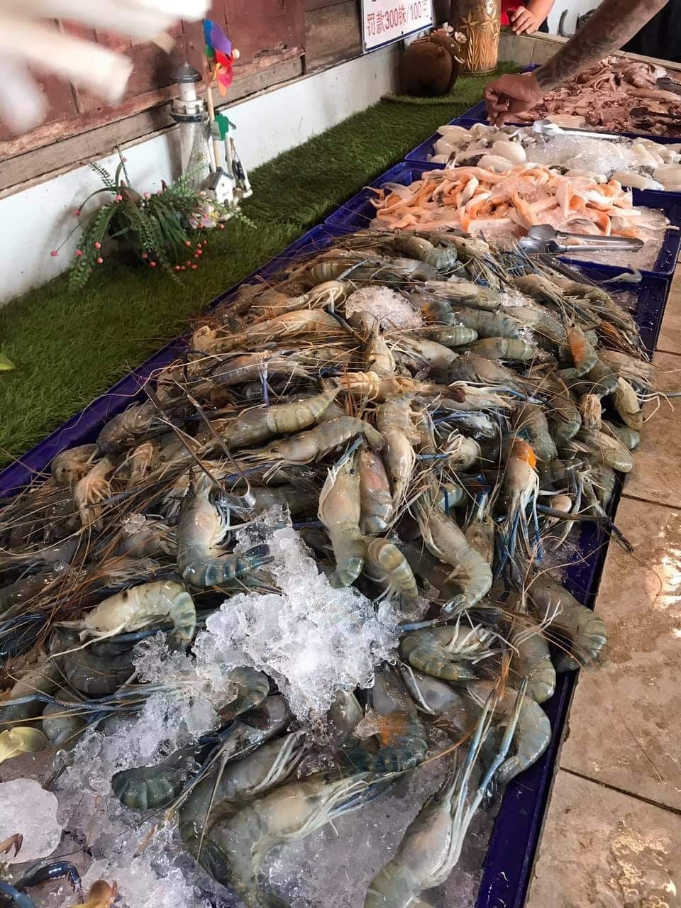 ปูเป็น SEAFOOD PATTAYA, ริมหาด ซีฟู๊ด, ลุงบอยป้ารัตน์, สาขาหาดจอมเทียน, Krua Dongtan ครัวดงตาล, ลุงไสว 1 สุดหาดจอมเทียน พัทยา, ศรีนวลซีฟู้ด, Anantaya Resort &amp; Seafood Pattaya, สุดเขต ทะเลเผา