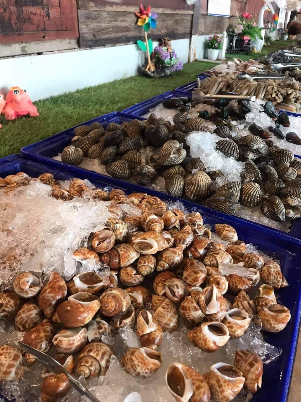 ปูเป็น SEAFOOD PATTAYA, ริมหาด ซีฟู๊ด, ลุงบอยป้ารัตน์, สาขาหาดจอมเทียน, Krua Dongtan ครัวดงตาล, ลุงไสว 1 สุดหาดจอมเทียน พัทยา, ศรีนวลซีฟู้ด, Anantaya Resort &amp; Seafood Pattaya, สุดเขต ทะเลเผา