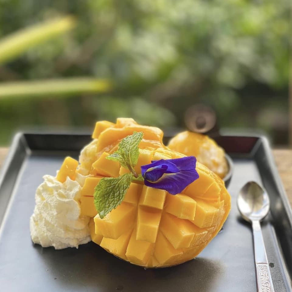 Treespresso cafe, Vigie Sist Café, Aki Choux Cream, Polaris Sunrise Café, MOJI Pool.Villa.icecream, MYTH OVEN, KonJohn coffee slowbar, Eleven Pillar Site, Home’S, Koffandthings.th, Playworks.cafeart, Tree of Life Cafe, Kramfeine, Millilit Cafe, TOMATO.cafe.cnx, MITTE MITTE, Soul Café mju, ZOHNG Coffee, ALSO cafe, Coffee Ngeggee, Graincafe.cnx, Later on cafe, สุขพอดี, FERN FOREST CAFÉ, Forest Bake, ภูฟิน, CHEEVIT CHEEVA, GoodVibes Cafe-Cnx, Chic 39, Zombie Café, Ristr8to, Neo Cafe', ชมนกชมไม้, เก้าคาเฟ่ นิมมาน