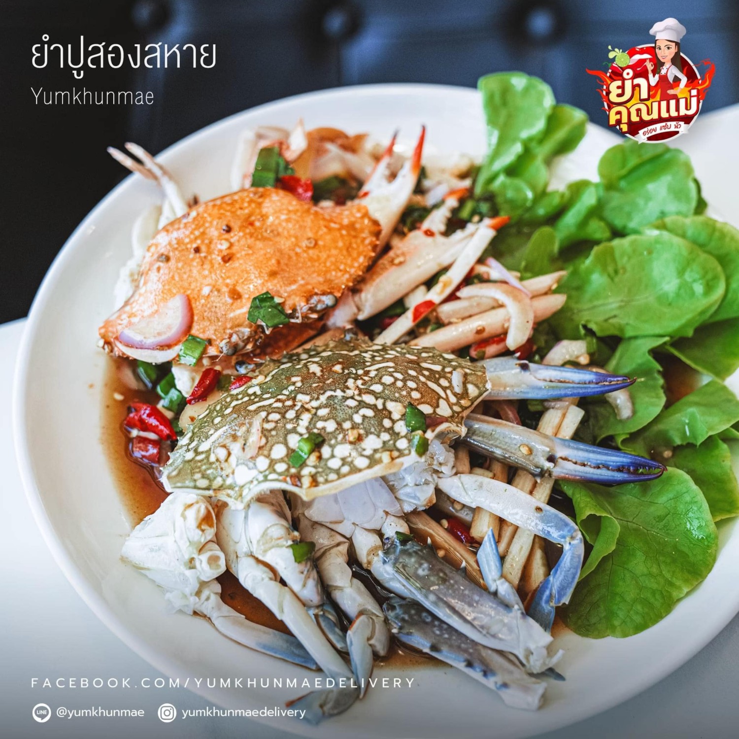 Nomimono Izakaya, กะทิบ้านอาหารไทยและขนม, ก๋วยเตี๋ยวเรือนแพ, Sasi Bangkok, Blooming Cafe, 128 Craft & Soul, อิ่มใจ เสือร้อง, Cafe Casta, ต๋องริมทาง, Wife's Restaurant, บ้านสวนองุ่น, เฮือนลำพูน, COAL Bistro, SUNKISS.bangkok, ร้านดวงเดือนจิ้มจุ่มอาหารอีสาน, ก๋วยเตี๋ยวไม่มีชื่อ ตลิ่งชัน