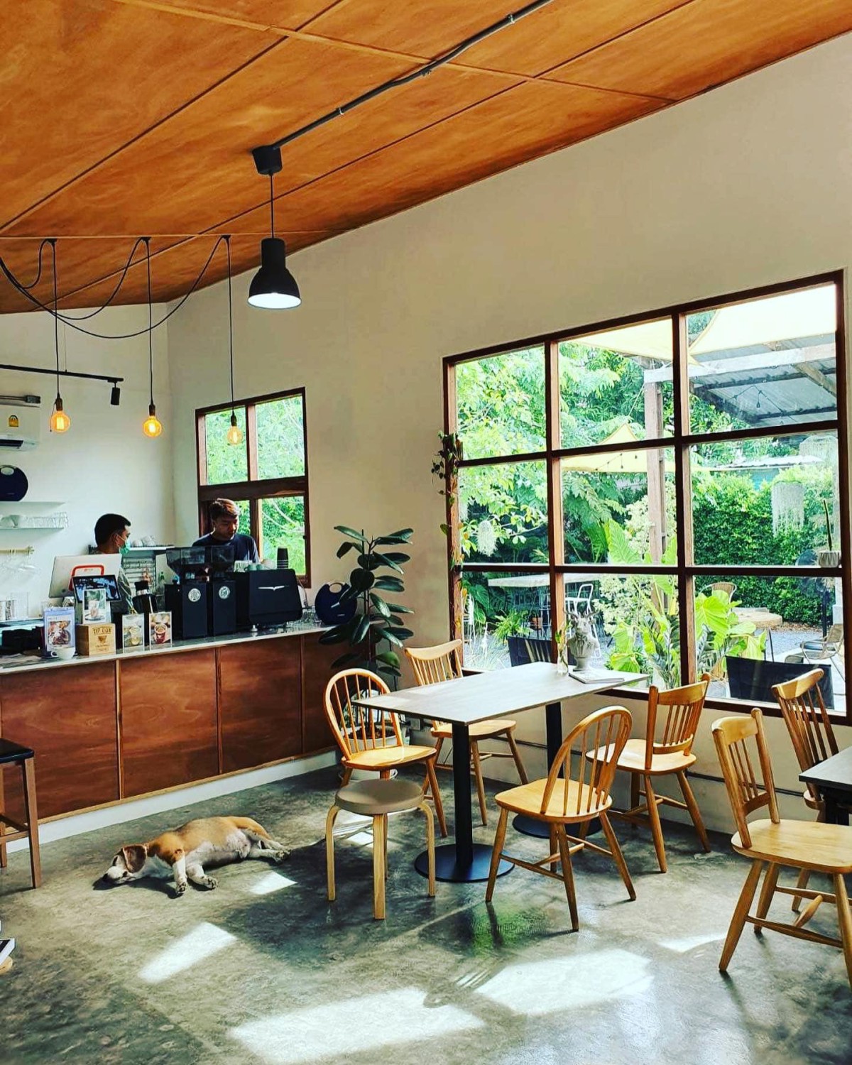 Nomimono Izakaya, กะทิบ้านอาหารไทยและขนม, ก๋วยเตี๋ยวเรือนแพ, Sasi Bangkok, Blooming Cafe, 128 Craft & Soul, อิ่มใจ เสือร้อง, Cafe Casta, ต๋องริมทาง, Wife's Restaurant, บ้านสวนองุ่น, เฮือนลำพูน, COAL Bistro, SUNKISS.bangkok, ร้านดวงเดือนจิ้มจุ่มอาหารอีสาน, ก๋วยเตี๋ยวไม่มีชื่อ ตลิ่งชัน