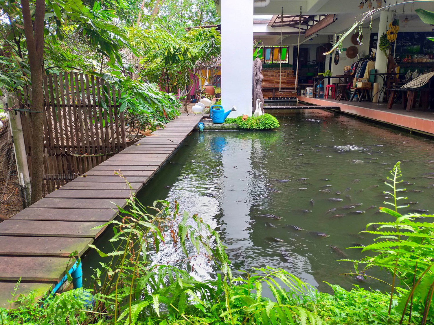 CURVE, STIRR Coffee, Haus Coffee and Space, SeaSeoul cafe, 1degreesnorth, Kongkang Kafe, กาเเฟริมน้ำ บ้านชูใจ, สวนก๋ง, กาแฟบ้านทวด, COFFEE BEACH, Jump at Sea, Whitebeam coffee & eatery