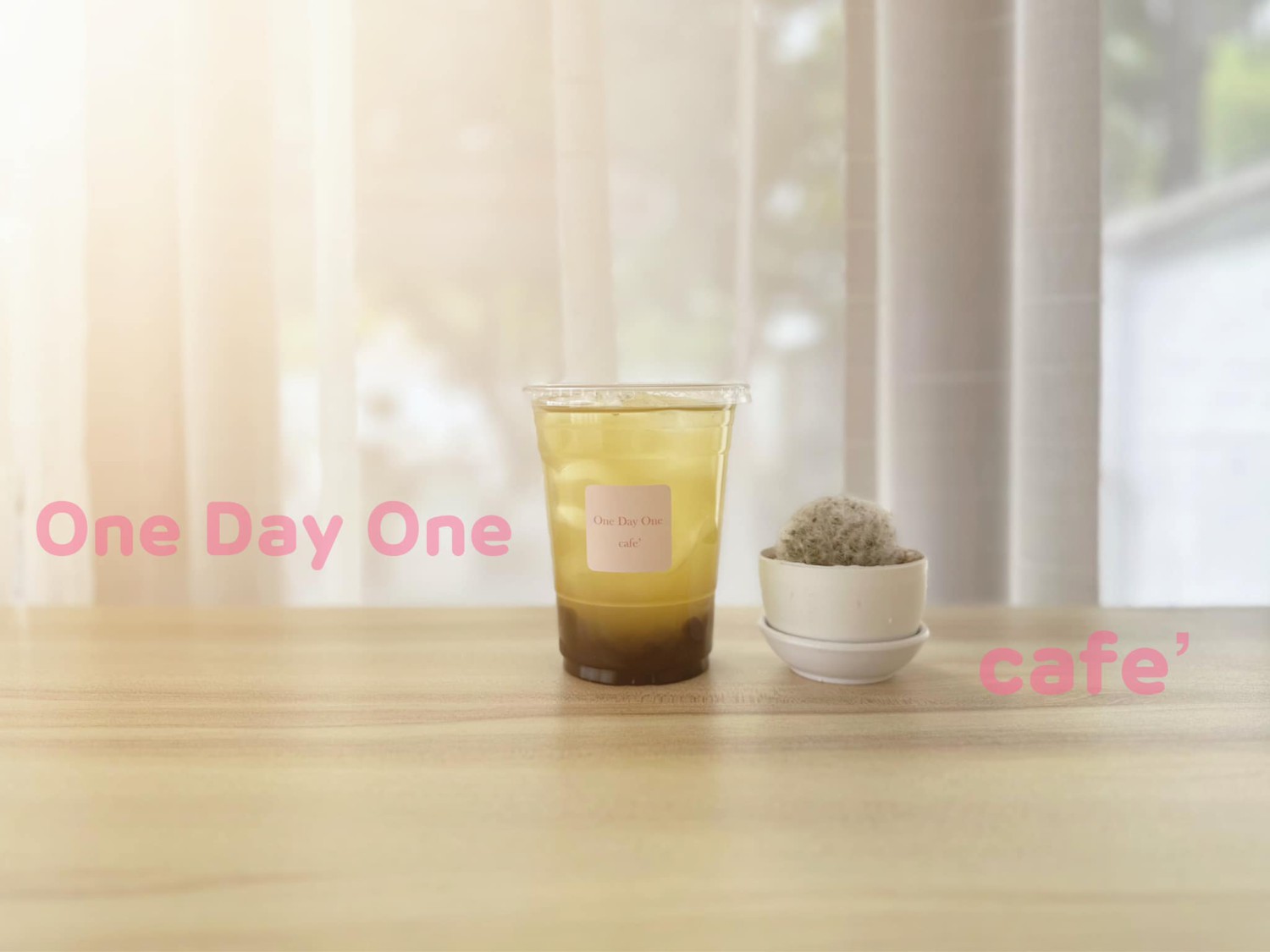 Simple Things, Mindset Cafe, GIVEANDTAKE Cafe House, เถียงนา Coffee and Bakery Farm, TARA Kaffee&amp;Patisserie', Mood Cafe, View doi Coffee Home, One Day One Cafe', สวนพร้าว คาเฟ่, A Little Craft Cafe, Braverly, สวนป่าตากา คาเฟ่, SOON CAFE, Ava Cafe’, Charfinn cafe’, PlumucH, Harmonica 2, River Bar Cafe, Chavee Cafe, TonTong Cafe, สวนเหนือกาแฟ, Diff desofto, สายหวานคาเฟ่, Kyoto Shi Cafe, DRIP GAN, Move on - มูฟออน