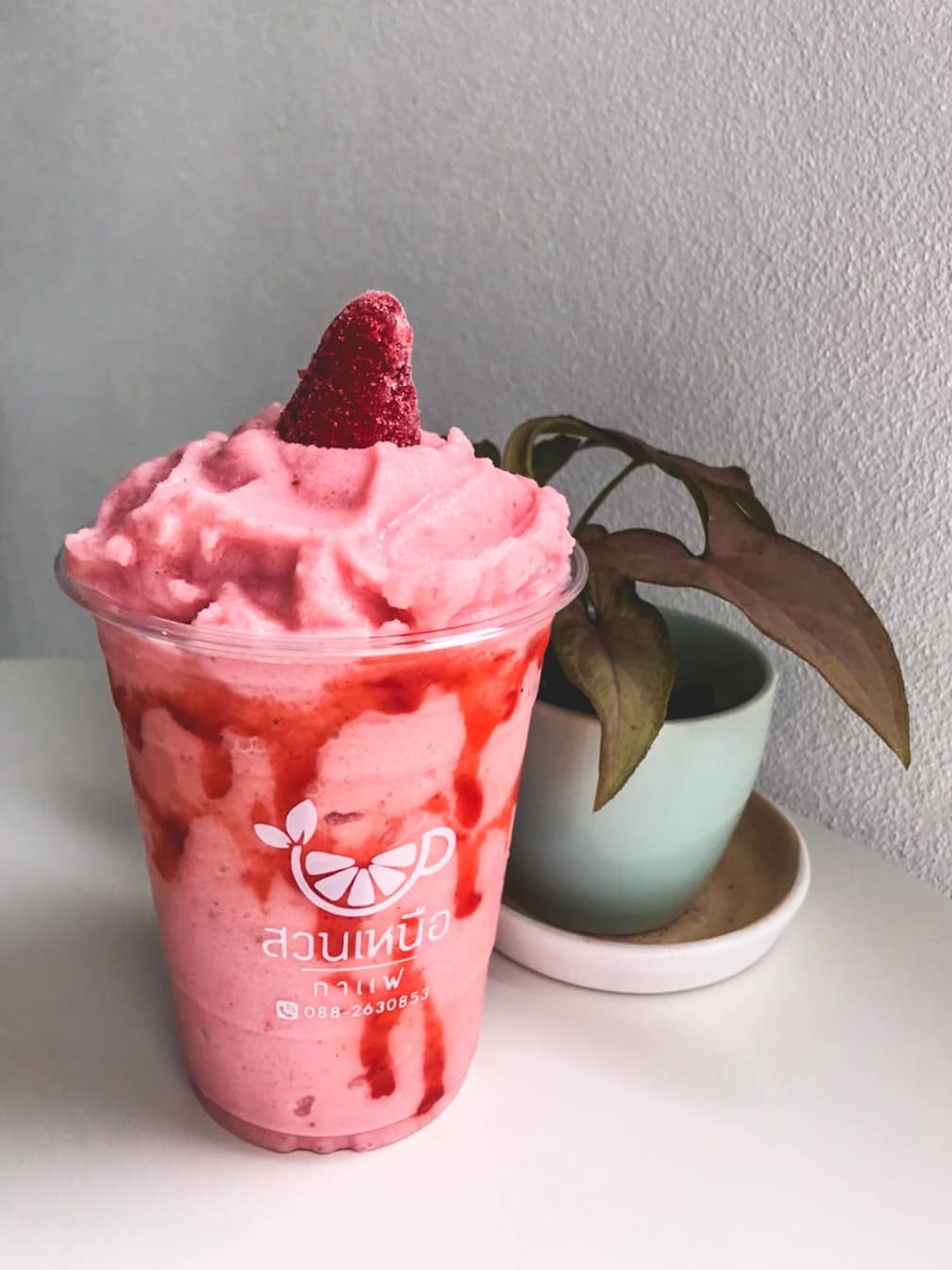 Simple Things, Mindset Cafe, GIVEANDTAKE Cafe House, เถียงนา Coffee and Bakery Farm, TARA Kaffee&amp;Patisserie', Mood Cafe, View doi Coffee Home, One Day One Cafe', สวนพร้าว คาเฟ่, A Little Craft Cafe, Braverly, สวนป่าตากา คาเฟ่, SOON CAFE, Ava Cafe’, Charfinn cafe’, PlumucH, Harmonica 2, River Bar Cafe, Chavee Cafe, TonTong Cafe, สวนเหนือกาแฟ, Diff desofto, สายหวานคาเฟ่, Kyoto Shi Cafe, DRIP GAN, Move on - มูฟออน
