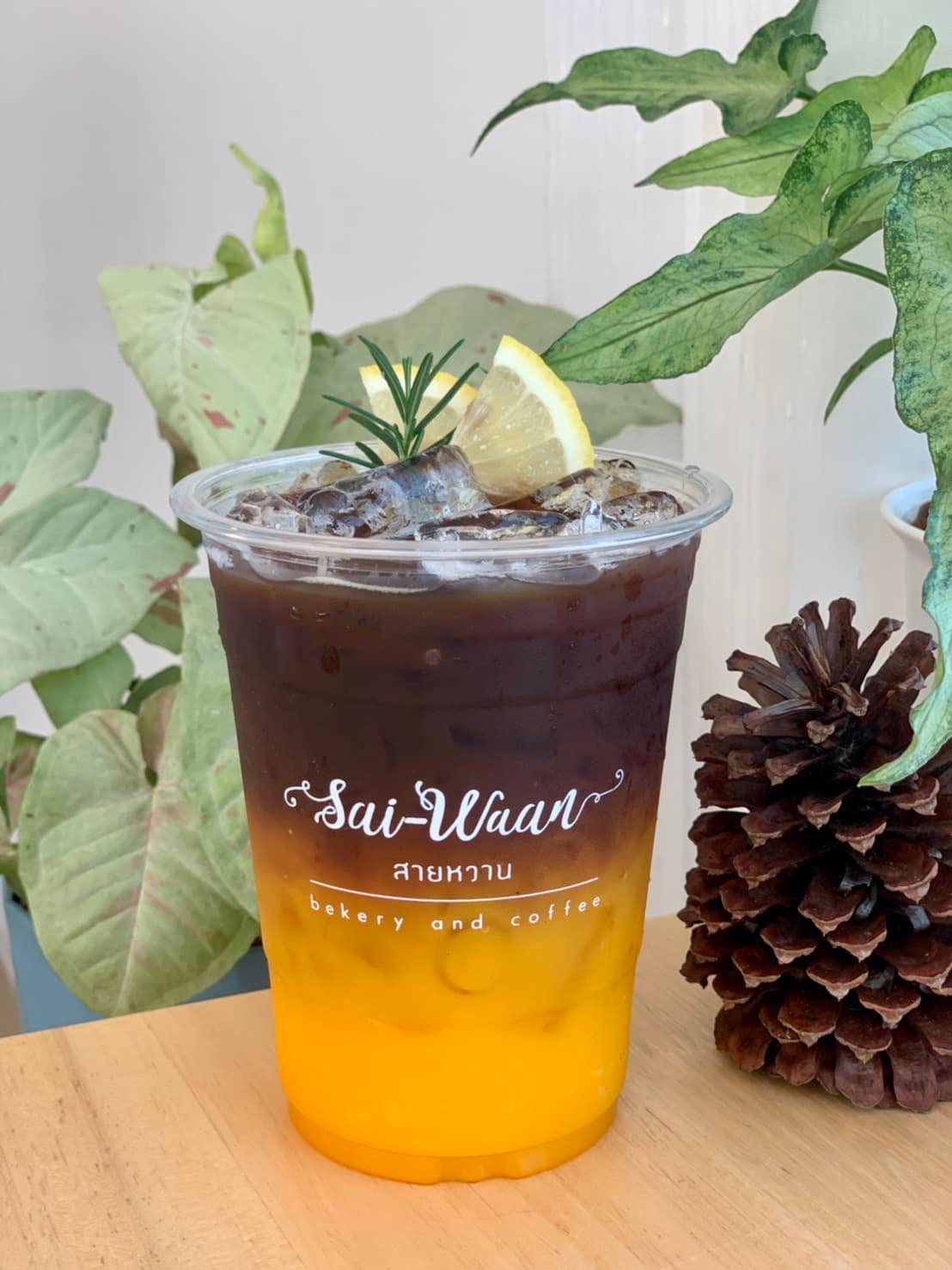 Simple Things, Mindset Cafe, GIVEANDTAKE Cafe House, เถียงนา Coffee and Bakery Farm, TARA Kaffee&amp;Patisserie', Mood Cafe, View doi Coffee Home, One Day One Cafe', สวนพร้าว คาเฟ่, A Little Craft Cafe, Braverly, สวนป่าตากา คาเฟ่, SOON CAFE, Ava Cafe’, Charfinn cafe’, PlumucH, Harmonica 2, River Bar Cafe, Chavee Cafe, TonTong Cafe, สวนเหนือกาแฟ, Diff desofto, สายหวานคาเฟ่, Kyoto Shi Cafe, DRIP GAN, Move on - มูฟออน