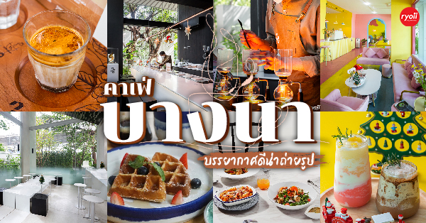 NANA Coffee Roasters, Mmc.bkk, FO SHO BRO, Dear December Cafe, The 66 Cottage, The Black Forest, Bougain Cafe & Crafts, La Mesa Coffee Co., Coffee Station, Gooseberry Coffee Bearing-Lasalle, OOOz.cafe , Shalala Cafe