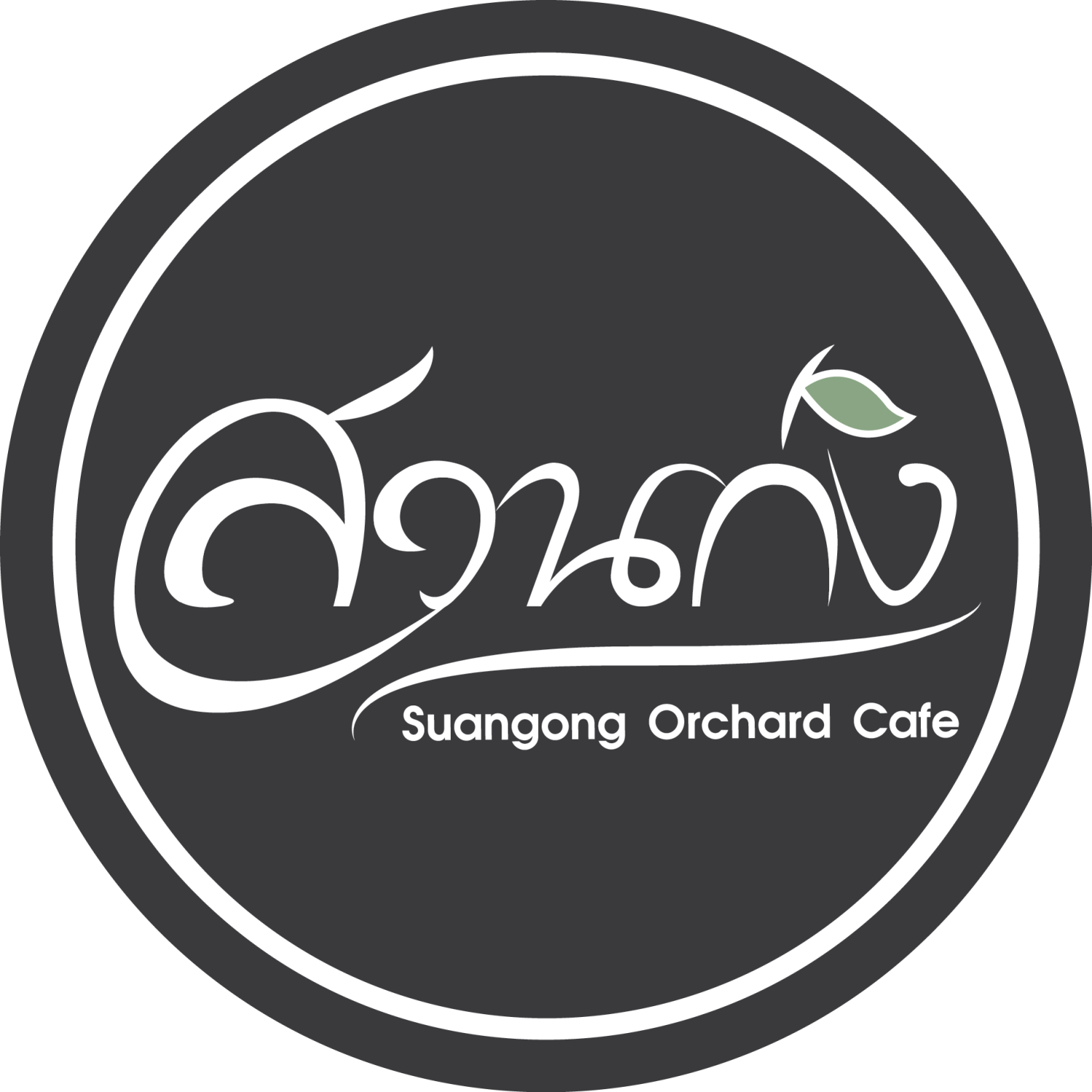 CURVE, STIRR Coffee, Haus Coffee and Space, SeaSeoul cafe, 1degreesnorth, Kongkang Kafe, กาเเฟริมน้ำ บ้านชูใจ, สวนก๋ง, กาแฟบ้านทวด, COFFEE BEACH, Jump at Sea, Whitebeam coffee & eatery