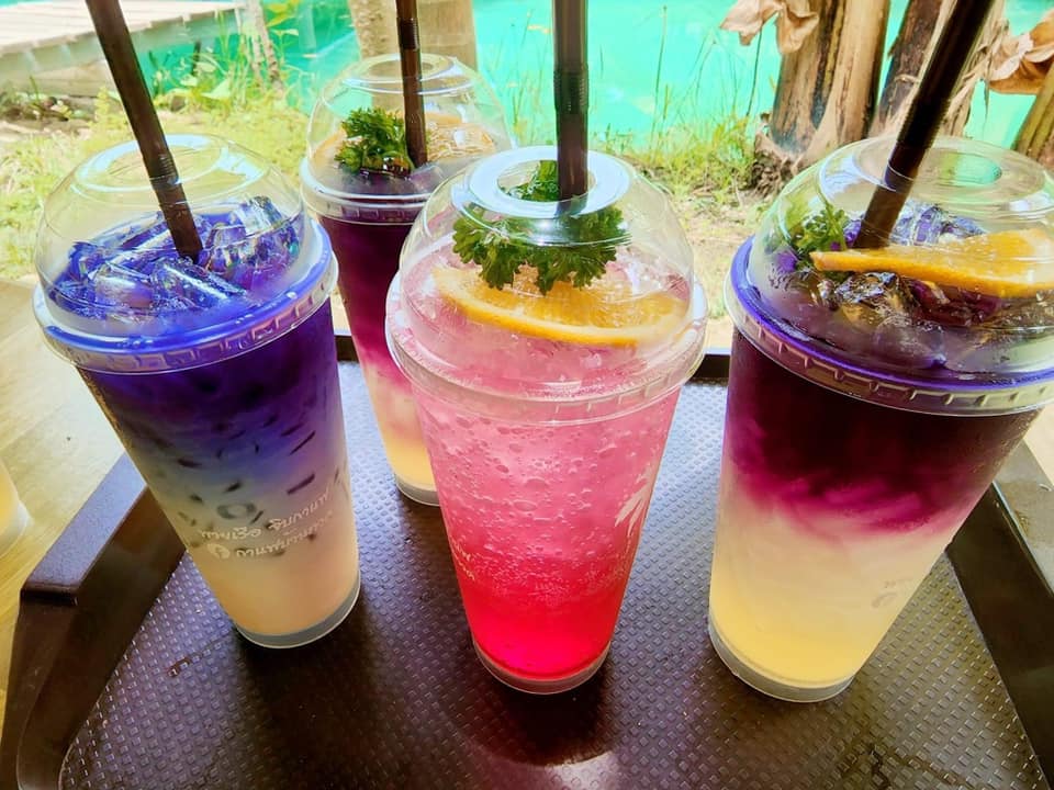 CURVE, STIRR Coffee, Haus Coffee and Space, SeaSeoul cafe, 1degreesnorth, Kongkang Kafe, กาเเฟริมน้ำ บ้านชูใจ, สวนก๋ง, กาแฟบ้านทวด, COFFEE BEACH, Jump at Sea, Whitebeam coffee & eatery
