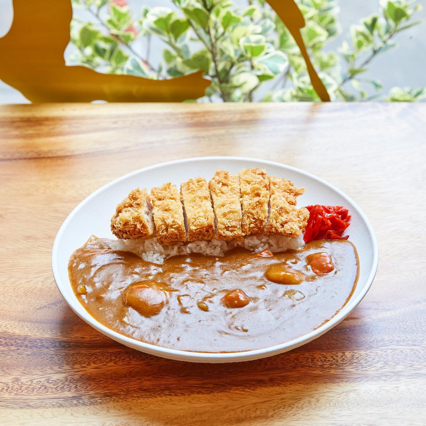 อู้วว์ ทงคัตสึ, Katsura Pork Cutlet Bar, Freddie Ricecurry, สาขาป้อมพระสุเมรุ, Bekku Tonkatsu, Tonkatsu Wako, สาขาสยามเซ็นเตอร์, Maisen Thailand, Saboten Thailand, Hamakatsu Thailand, Aso Tonkatsu
