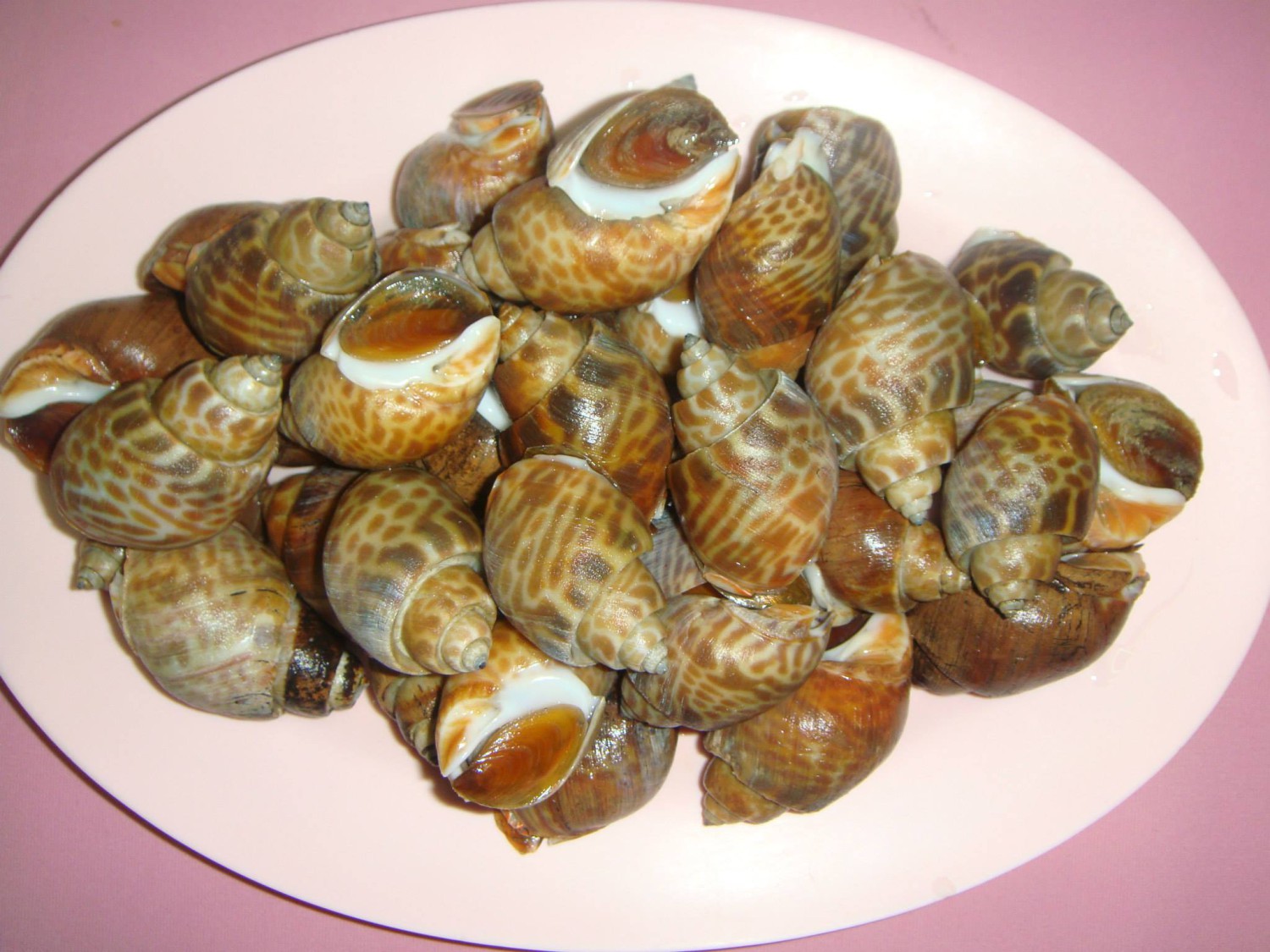 oystermania, The Dock, Lobster & Oyster, เล็ก & รัตน์ซีฟู้ด, Oyster Bay Bangkok
