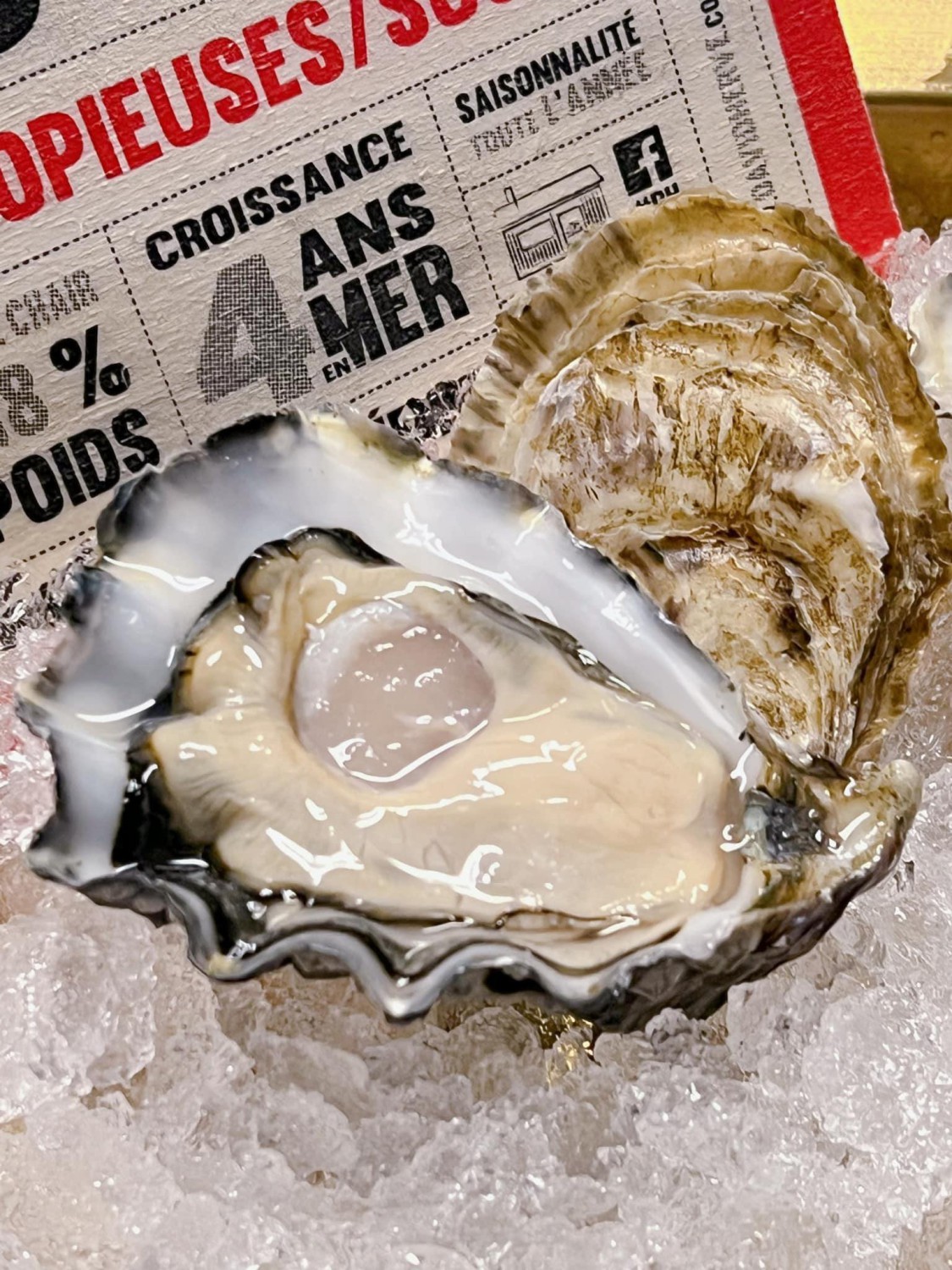 oystermania, The Dock, Lobster & Oyster, เล็ก & รัตน์ซีฟู้ด, Oyster Bay Bangkok