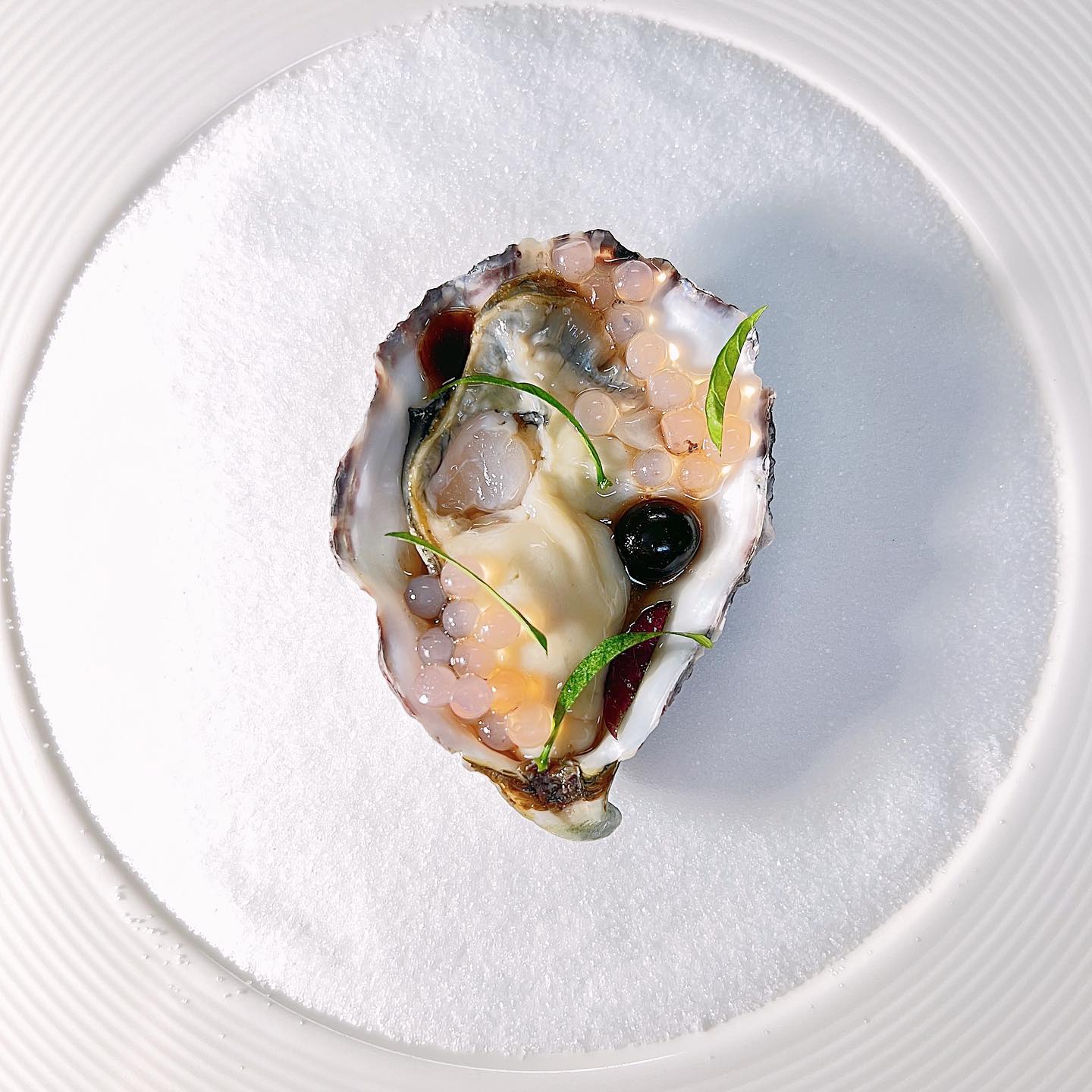 oystermania, The Dock, Lobster & Oyster, เล็ก & รัตน์ซีฟู้ด, Oyster Bay Bangkok