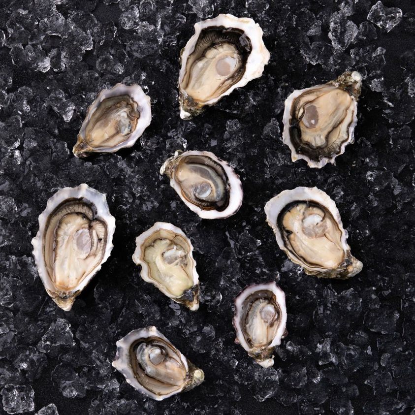 oystermania, The Dock, Lobster & Oyster, เล็ก & รัตน์ซีฟู้ด, Oyster Bay Bangkok