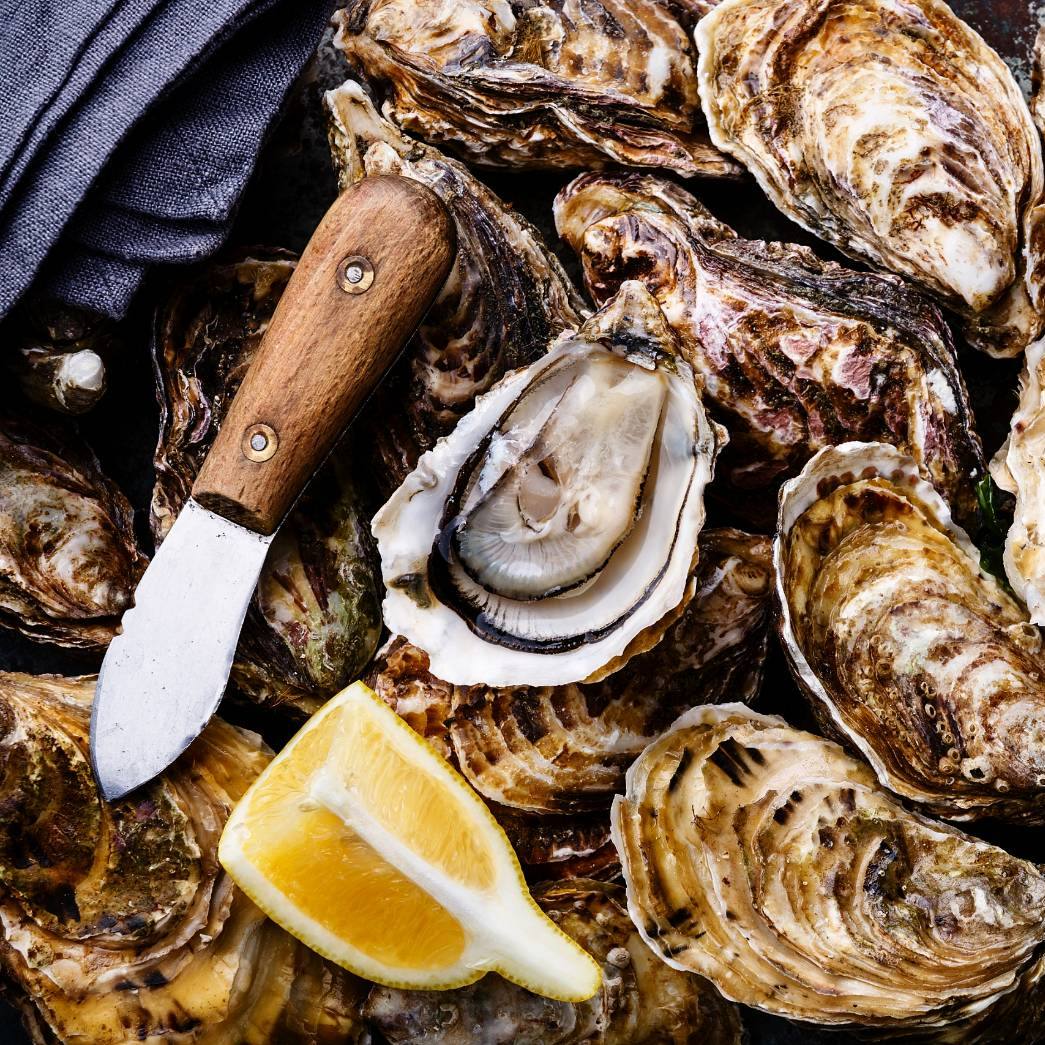oystermania, The Dock, Lobster & Oyster, เล็ก & รัตน์ซีฟู้ด, Oyster Bay Bangkok