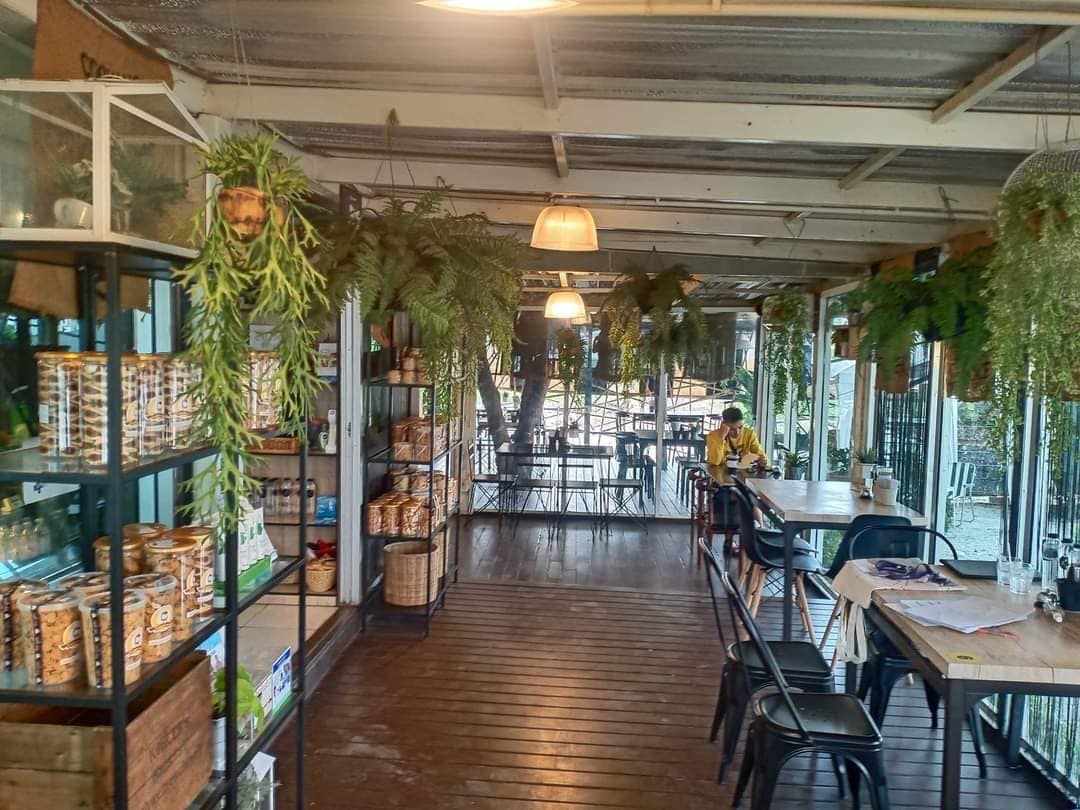 Way Coffee House, Piccolo BangSaen, Peaceful Cafe, Artory.cafe.crafts, Cubbie ‘s, To Die For Coffee, U Cafe & Bakery, A blank coffee, Coffee Train, WON HOUSE, Standtall Coffee, Small House Coffee