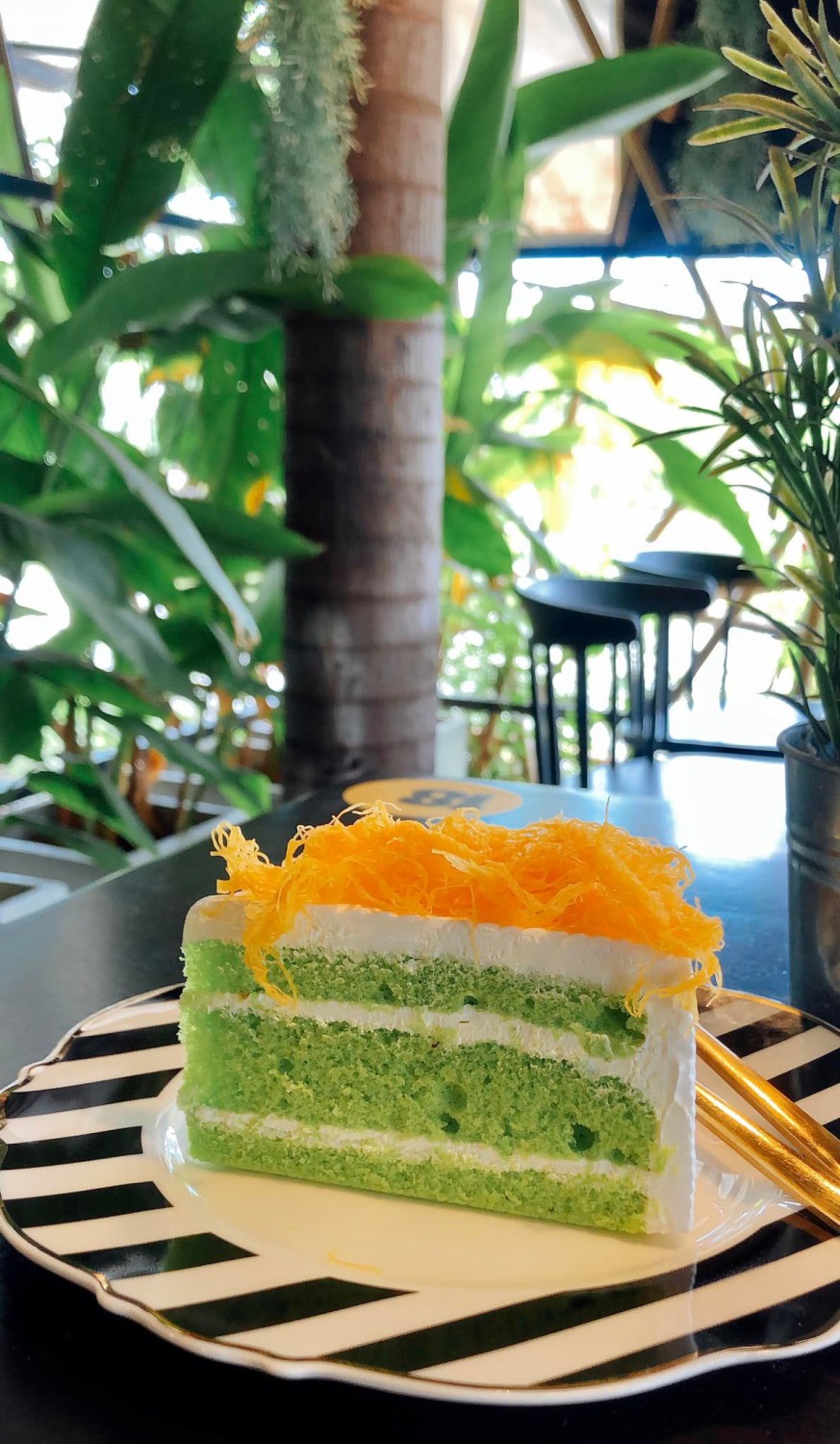 Way Coffee House, Piccolo BangSaen, Peaceful Cafe, Artory.cafe.crafts, Cubbie ‘s, To Die For Coffee, U Cafe & Bakery, A blank coffee, Coffee Train, WON HOUSE, Standtall Coffee, Small House Coffee