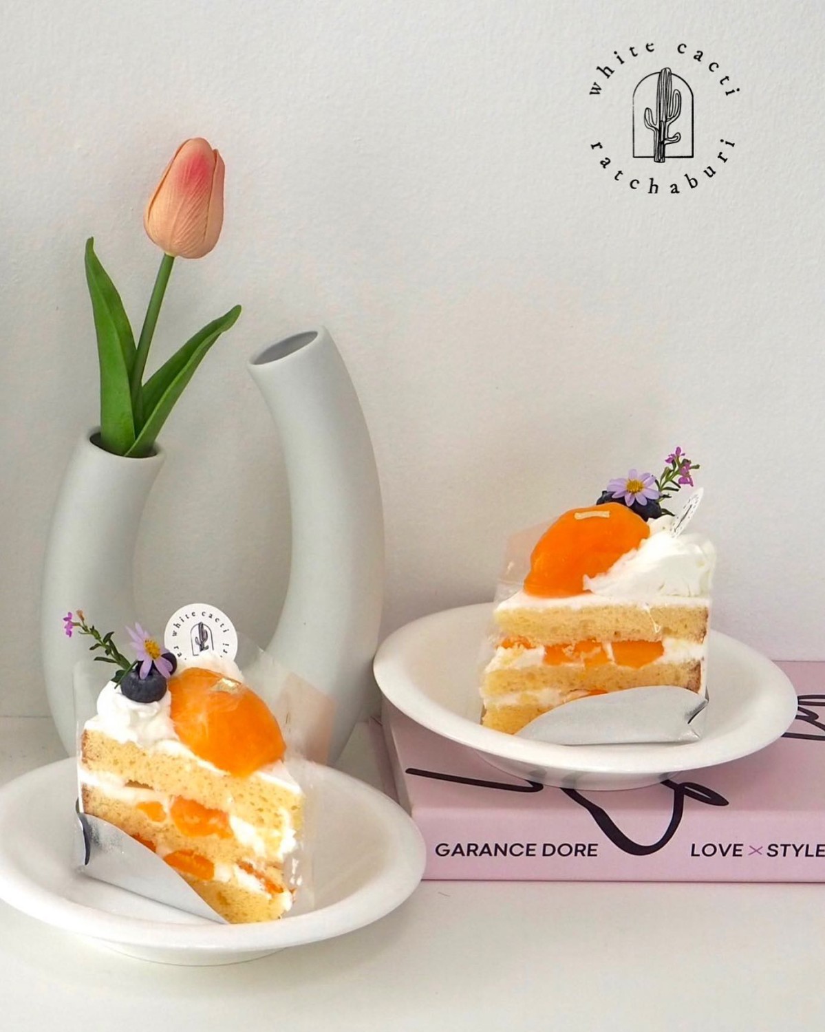 SOP Cafe, Three Mountain Café, ชื่นใจ๋, The Peace Coffee, โคโค่คอฟฟี่, Mali Cafe &amp; Cuisine, Tree Shade, Smallroom cafe passion, อาตี๋โกปี๊, Tara Coffee, In Cafe, Thanks, CORO FIELD, White Cacti