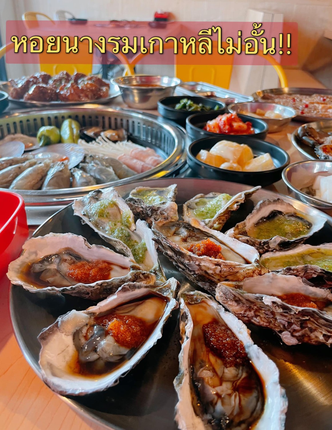 Gamsa_aree, Hana Korean BBQ, Yoon's Kitchen, Nene Korean BBQ Buffet, Kim's bbq, Saemaeul Thailand, Drum BBQ, Factory Buffet, GoGi SeKi, Seoul BBQ, Nammaejipthailand, The Tongkeungui, Seoul Garden, Kwang Han Roo, Jeju BBQ 제주 บุฟเฟ่ต์ปิ้งย่างเกาหลี, Palsaik Thailand, Kokinaemsae