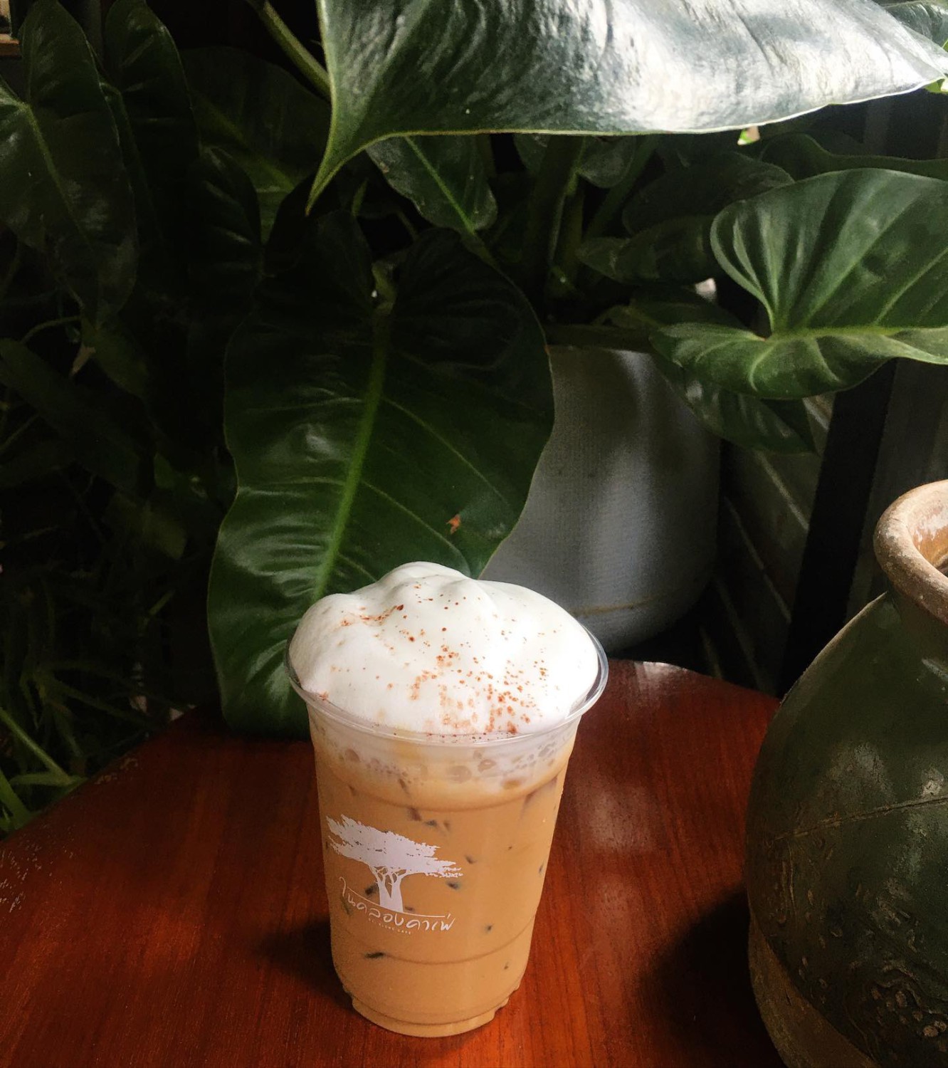 NAYA Cafe, Krasai.cafe, Sanoh at Ayutthaya, ชีวาคาเฟ่, FENG, Tewa Cafe Ayutthaya, Homeboy, PRANG VIEW, Peko Peko Cafe - ペ コ ペ コ, A Lovely Table, Busaba Cafe & Meal, WIWA House Cafe', The Summer House, Phoyard, Cafe' de Zia, Café Kantary Ayutthaya, บ้านข้าวหนม, Basic Space Coffee, Cafe'Trifecta, ในคลองคาเฟ่, ไม้ขาวคาเฟ่ ayutthaya, ชงนวล'Cafe