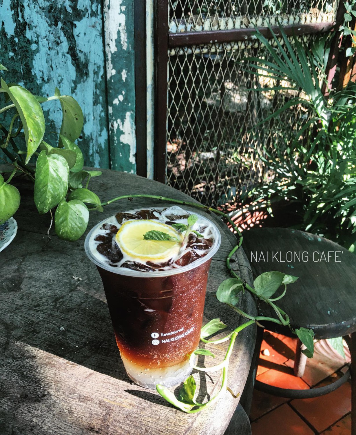 NAYA Cafe, Krasai.cafe, Sanoh at Ayutthaya, ชีวาคาเฟ่, FENG, Tewa Cafe Ayutthaya, Homeboy, PRANG VIEW, Peko Peko Cafe - ペ コ ペ コ, A Lovely Table, Busaba Cafe & Meal, WIWA House Cafe', The Summer House, Phoyard, Cafe' de Zia, Café Kantary Ayutthaya, บ้านข้าวหนม, Basic Space Coffee, Cafe'Trifecta, ในคลองคาเฟ่, ไม้ขาวคาเฟ่ ayutthaya, ชงนวล'Cafe