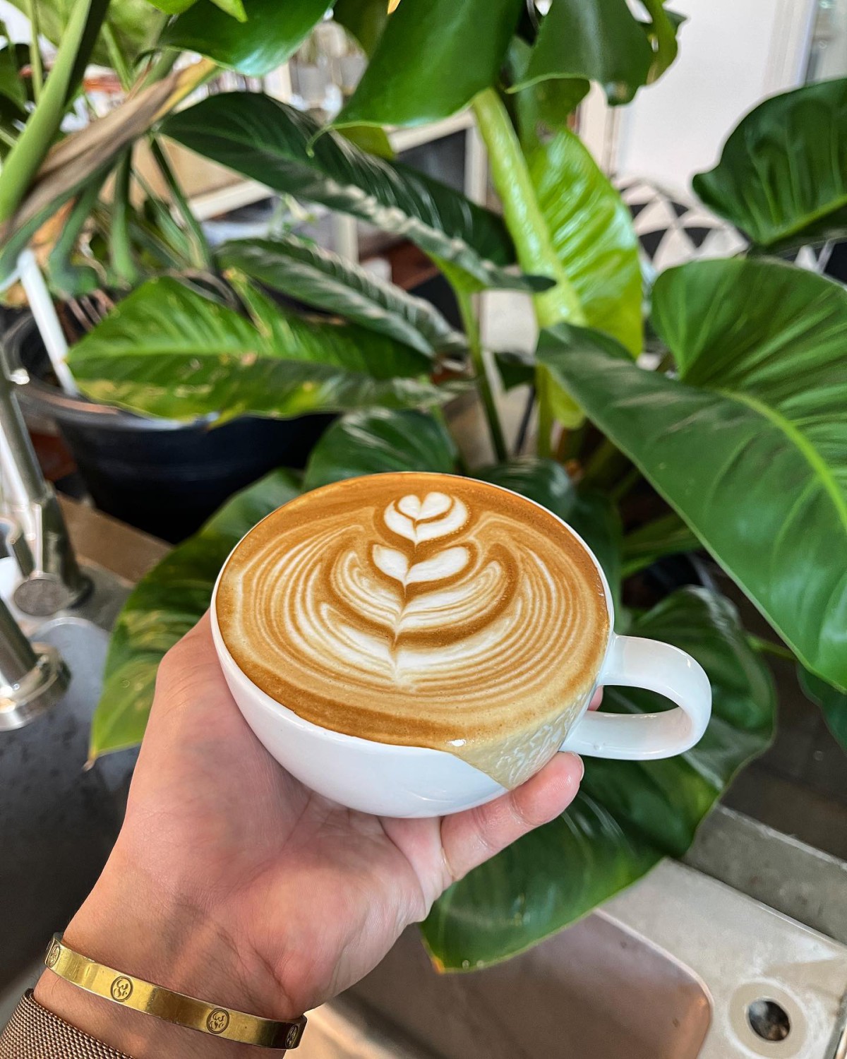 Mixirista Lampang, TIN’N, Wooden House Cafe', Karpenter cafe&amp;bake, Secret Garden Cafe, บ้านนอกคาเฟ่, Kin Cafe' Lampang, ณ หิรัญ คาเฟ่, Himwang Café, ไอหย๋า ปังนม, Dezato Cafe, อาร์มแชร์ คาเฟ่, โก๋กาแฟ ธรรมดาเป็นพิเศษ, Nalalin Home Cafe-Lampang, NOP Cafe&amp;Bistro, ก๋างต้ง, Moungngwezin