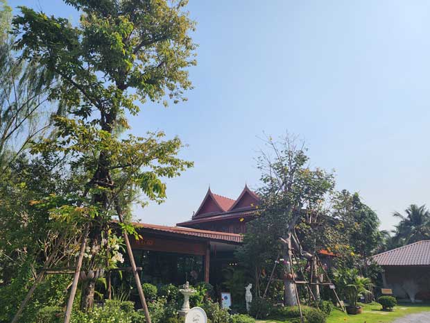 The Sine Cafe’, Whispering cafe, รักษ์น้ำคาเฟ่, Orenchi Cafe, KAWA Coffee and Co., Orenchi Specialty Coffee, Attitude Coffee, Memory House Cafe, In Garden Hut Cafe, ChataThammachart, She's The Legend Cafe, RIVA floating cafe, Good Mood House, นึก คาเฟ่ - วัดไร่ขิง, Ton Khao Terrace, CHADA Tea Boutique, Kark Crof.f