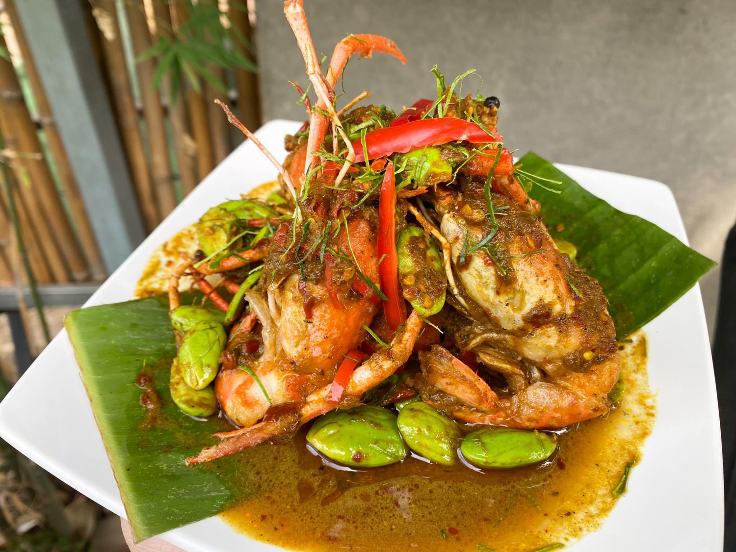 กอบัว, บ้านอาหารไทย, บ้านบัว, บ้านรั้วไม้ Cuisine & Cafe, ครัวหอมมันปู, ร้านไหน อุทยานหินเขางู ราชบุรี, สวนอาหาร รางตาล, Pakmud แซ่บหมูทะ, สาขาโพธาราม, ถึงพริกถึงขิง, มะม่วงคู่, เนื้อต้มบ้านสิงห์ เจ๊ติ๋ม, โกรกแดง, ชุมทางของอร่อย, Mainichi365, Octospider restaurant, Lim cafe Photaram, ครัวตะนาวศรี สวนผึ้ง ราชบุรี, อาตี๋โกปี๊, โอปอชิฟฟ่อนเค้ก, ก๋วยเตี๋ยวปลาแม่กลอง, ติ๋มเค้กมะพร้าวอ่อน, ก๋วยเตี๋ยวโบราณป้าฮวย, โอ่งข้าวโอ่งน้ำ, ครัวม่อนไข่ สวนผึ้ง ราชบุรี, ShabuDo