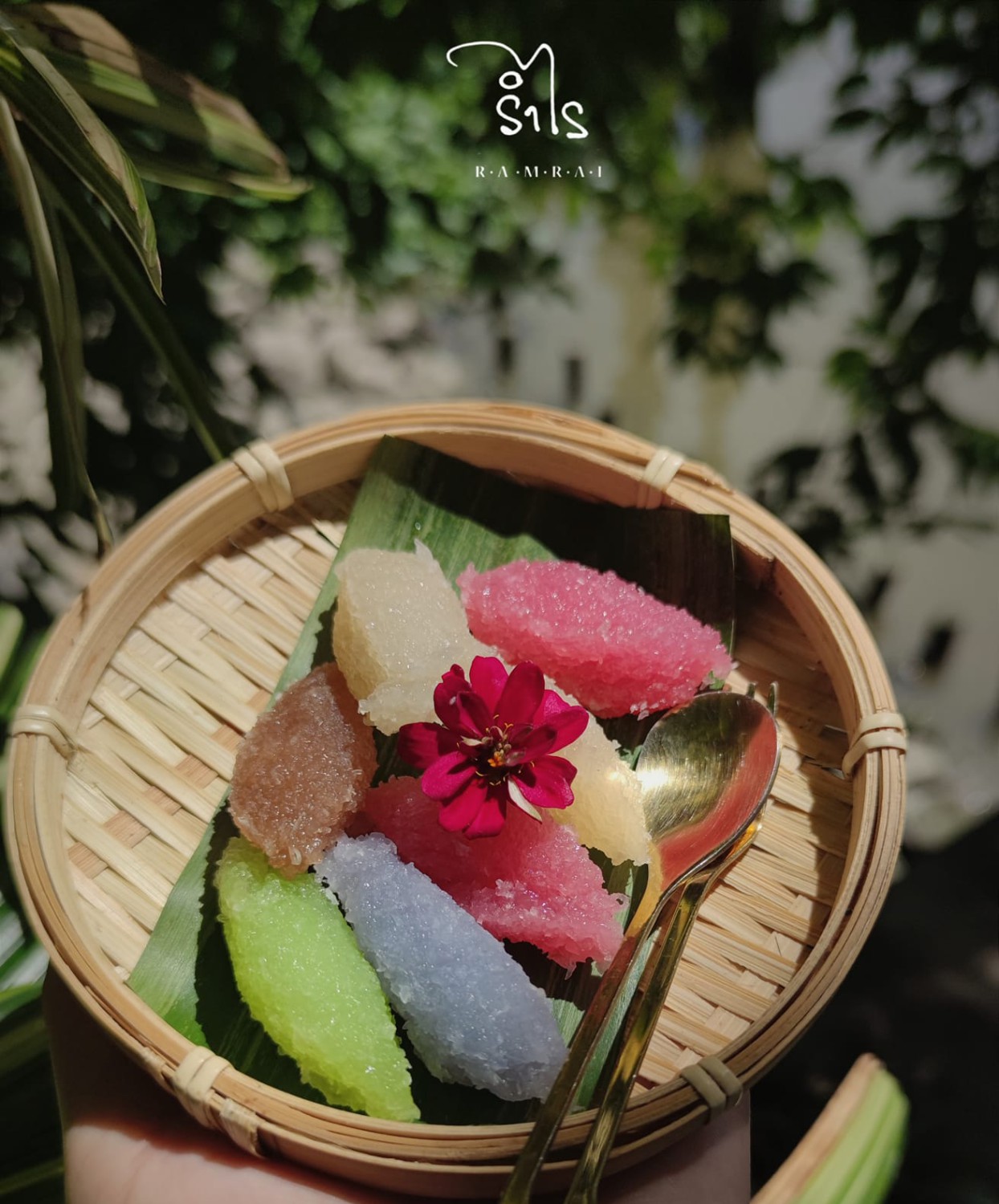 รำไร, ธรรมชาติโอชา, Rangnok Cafe&amp;Bar, บ้านท่าน้ำนนท์ Chaopraya antique Cafe, THE COUSIN, เพลิน Zaab Cafe, สายน้ำคาเฟ่ เกาะเกร็ด, สวนกู เดอะคาเฟ่, กาแฟบ้านเลขที่ ๑, 5522cafe, Rongsi Studio, คลองอ้อมคาเฟ่, คาเฟ่บ้านเฮีย