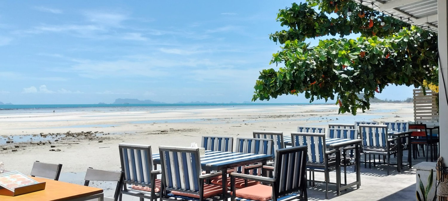 บ้านสวนลุงไข่, พี่เชษฐ์, Sawasdee-CuP Samui, ร้านอาหารข้าวหอม เกาะสมุย, ครัวชาวบ้าน, ท่าเรือสมุยซีฟู้ด, เสบียงเล, Mira Serene, โกเซ้ง เกาะสมุย, ครัวเสวยสมุย, The Roof Samui, มิสสมุย, Jam restaurant
