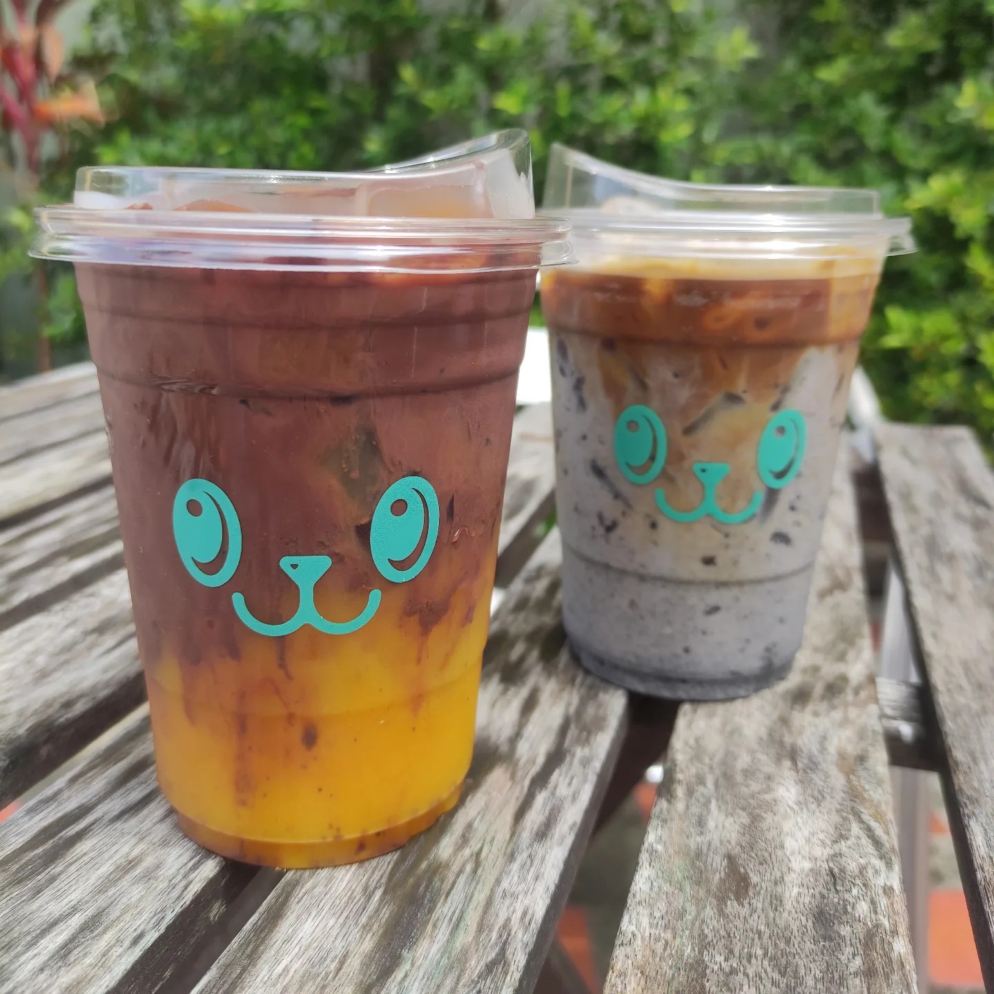 Hansacafe.food.garden, Green House Bistro, BECX, Plantnery Green Café, Langbaan cafe&amp;chill, ฉลู คาเฟ่, Mom’s Veggie Cafe, Another Home Cafe, Me Long Cafe, ร.เรือตัวอ้วน, Slot Co-Working Space, Mitte Coffee, Mita Coffee and Art, Bluebell Café, 10cc Coffee