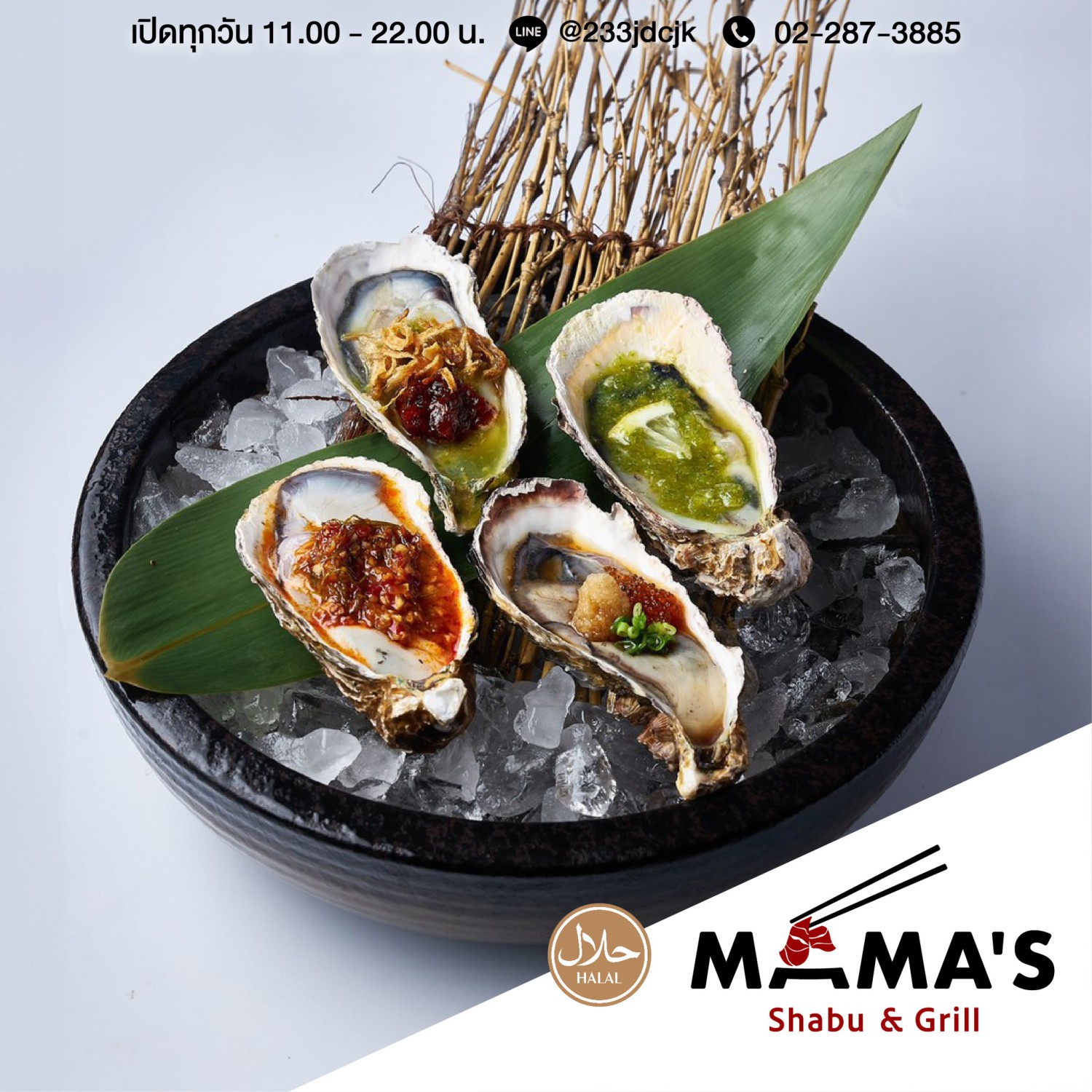 ฮาน่า ปิ้งย่าง & ชาบู, Bigbeef Premium HALAL Buffet, Got to Grill, Mama's shabu & Grill, Grandpa's Grill, Oxgrill Halal, โคบัง บุฟเฟ่ต์ โคขุน, NIDA Shabu&Grill
