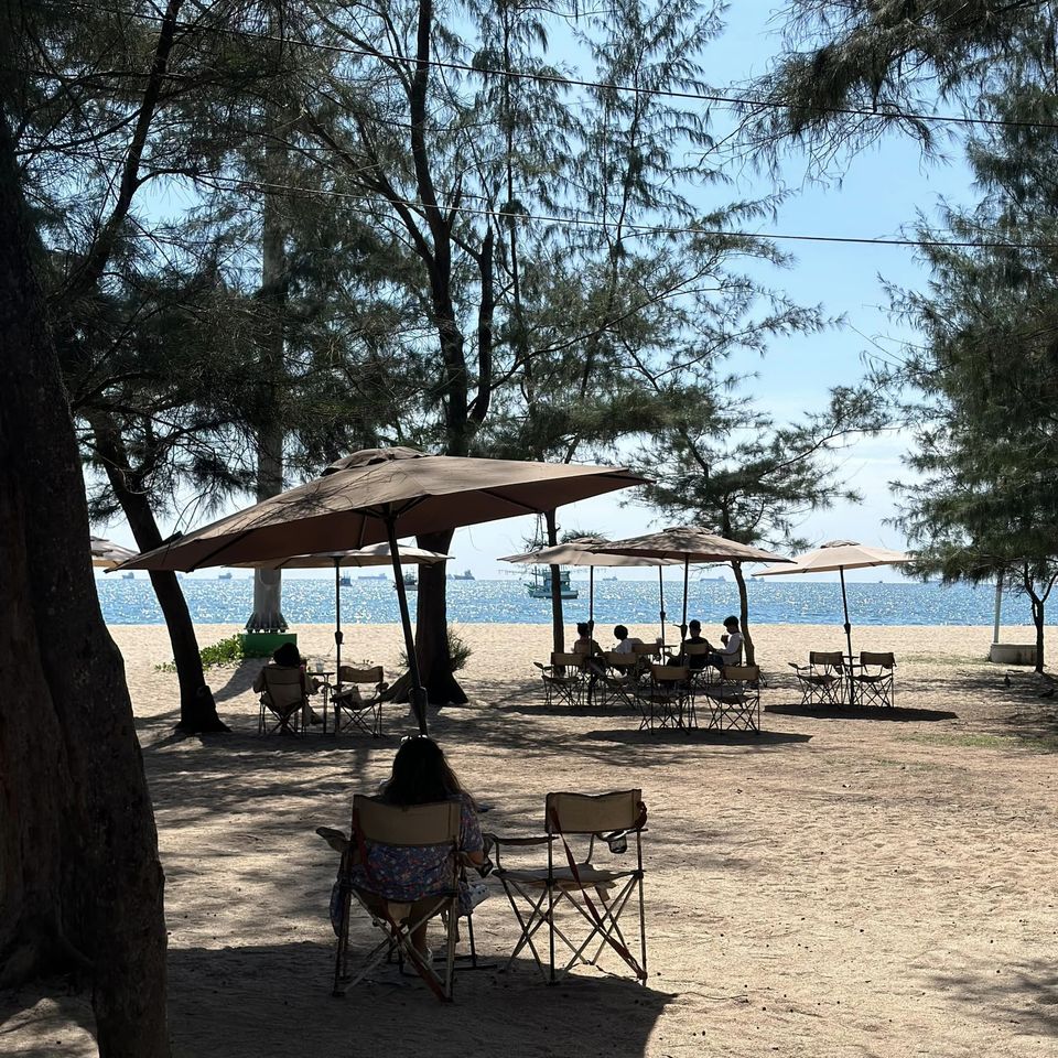 CURVE, STIRR Coffee, Haus Coffee and Space, SeaSeoul cafe, 1degreesnorth, Kongkang Kafe, กาเเฟริมน้ำ บ้านชูใจ, สวนก๋ง, กาแฟบ้านทวด, COFFEE BEACH, Jump at Sea, Whitebeam coffee & eatery