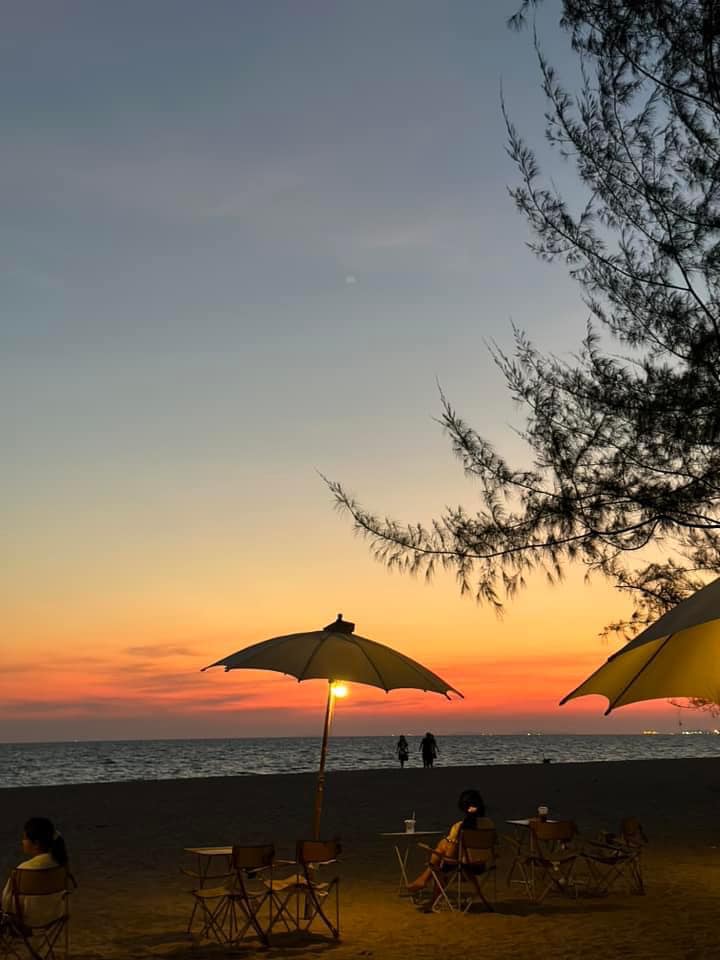 CURVE, STIRR Coffee, Haus Coffee and Space, SeaSeoul cafe, 1degreesnorth, Kongkang Kafe, กาเเฟริมน้ำ บ้านชูใจ, สวนก๋ง, กาแฟบ้านทวด, COFFEE BEACH, Jump at Sea, Whitebeam coffee & eatery