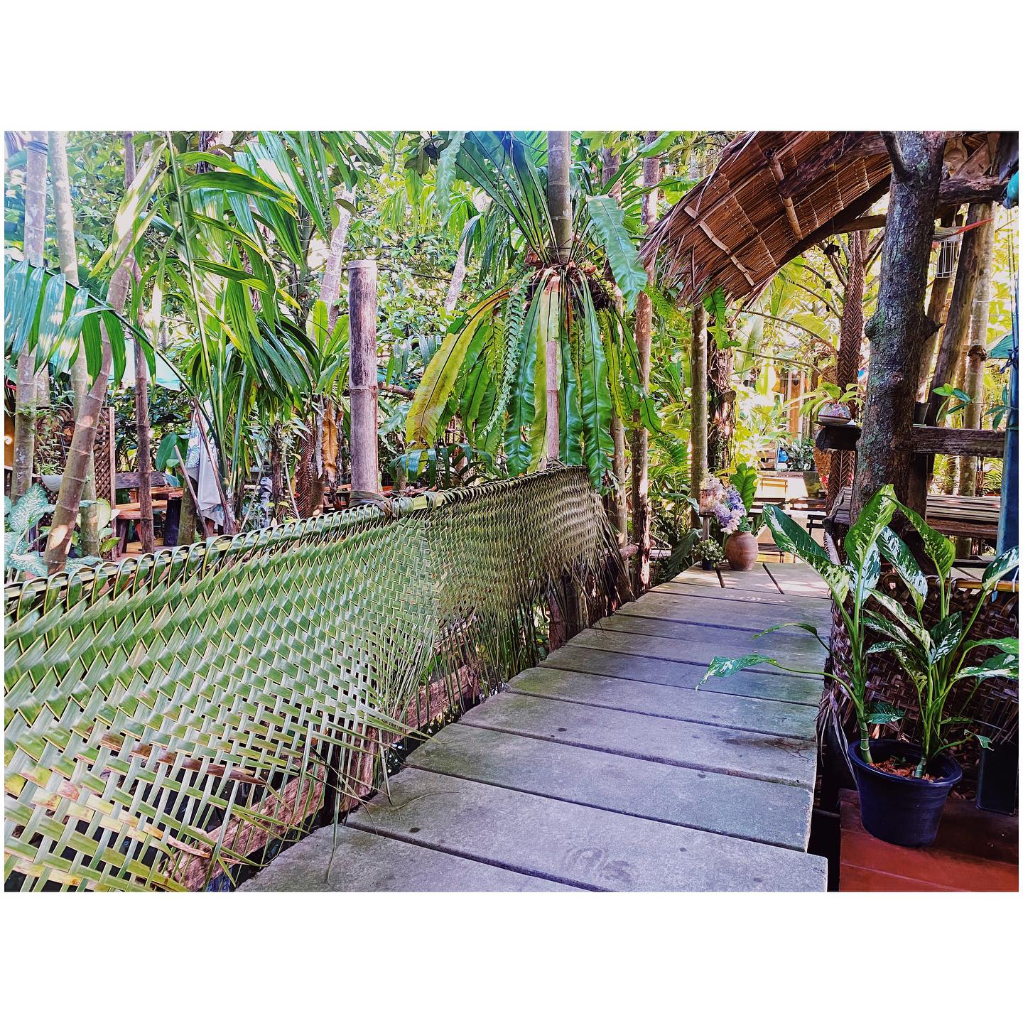 CURVE, STIRR Coffee, Haus Coffee and Space, SeaSeoul cafe, 1degreesnorth, Kongkang Kafe, กาเเฟริมน้ำ บ้านชูใจ, สวนก๋ง, กาแฟบ้านทวด, COFFEE BEACH, Jump at Sea, Whitebeam coffee & eatery